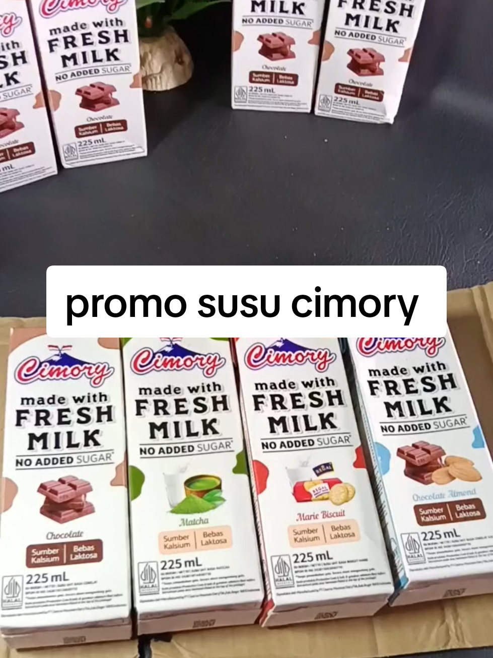 @zellaycel02
