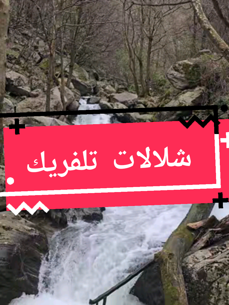 @محمد زيتون