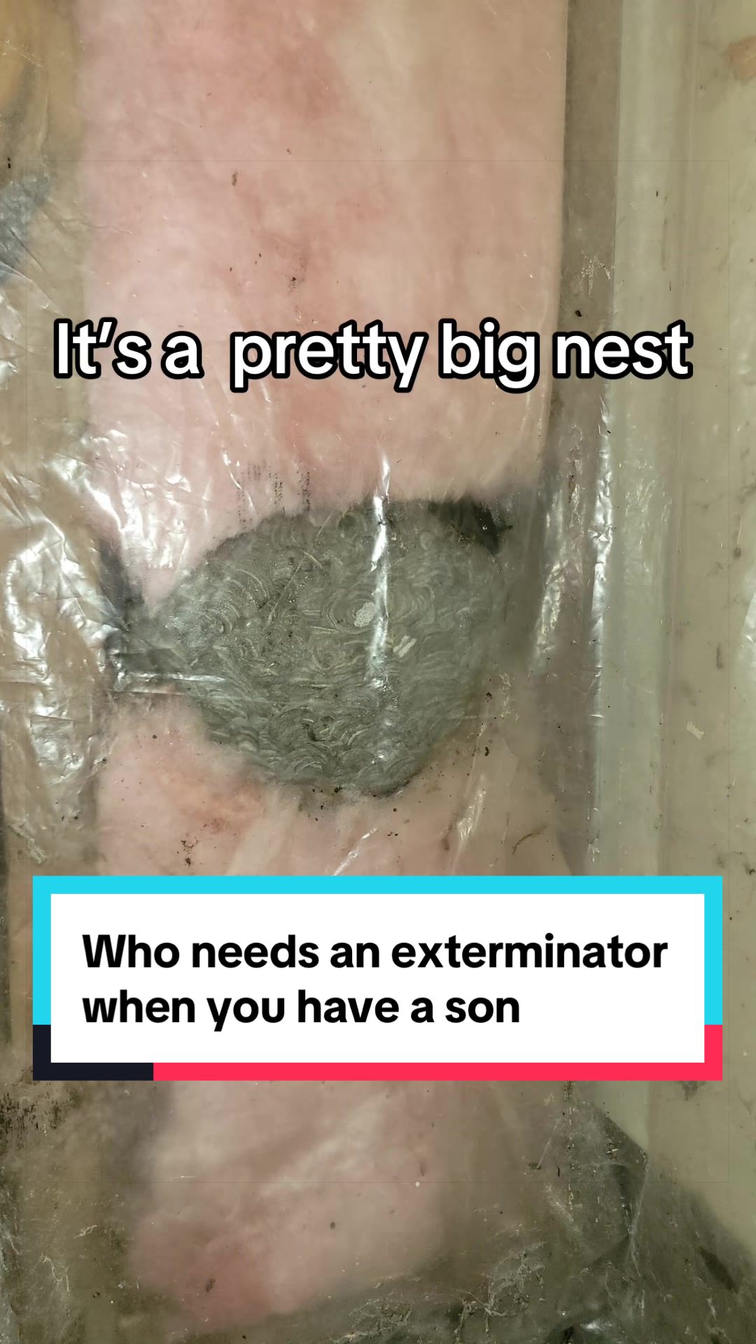 @Jenelle’s world