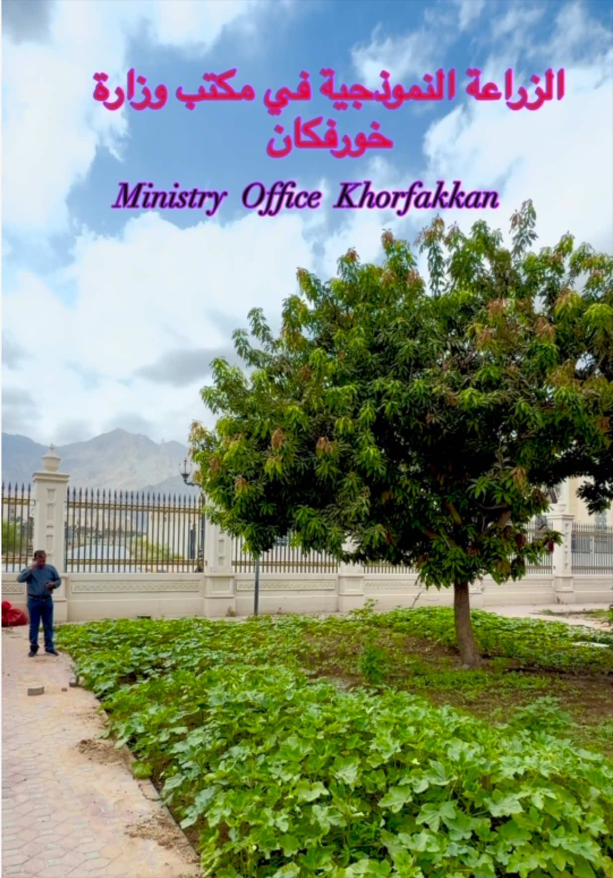 @Fujairah Lovers