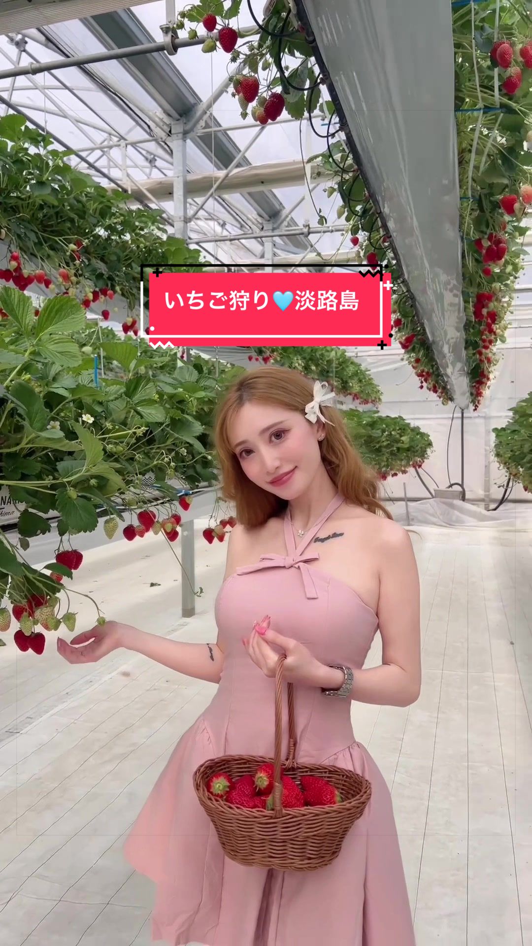 @菜々子