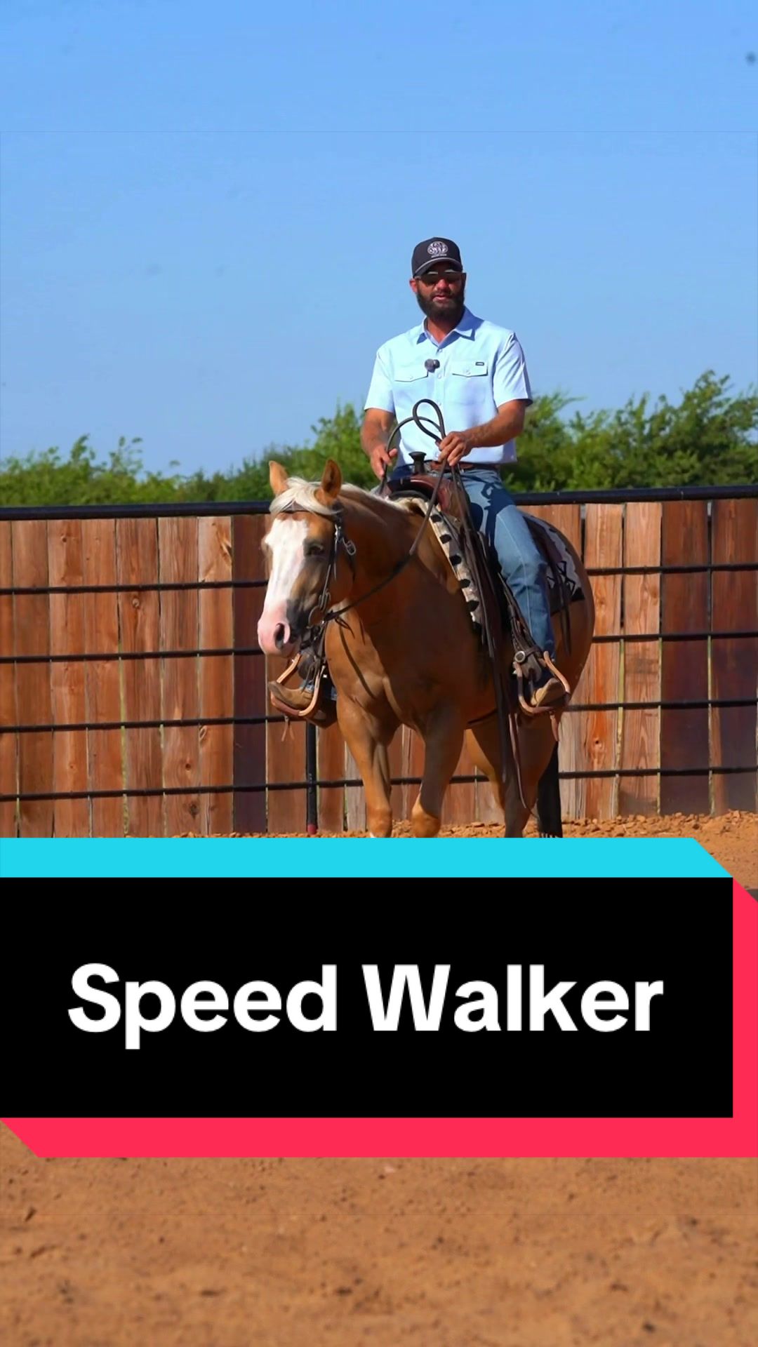 @WS Horses