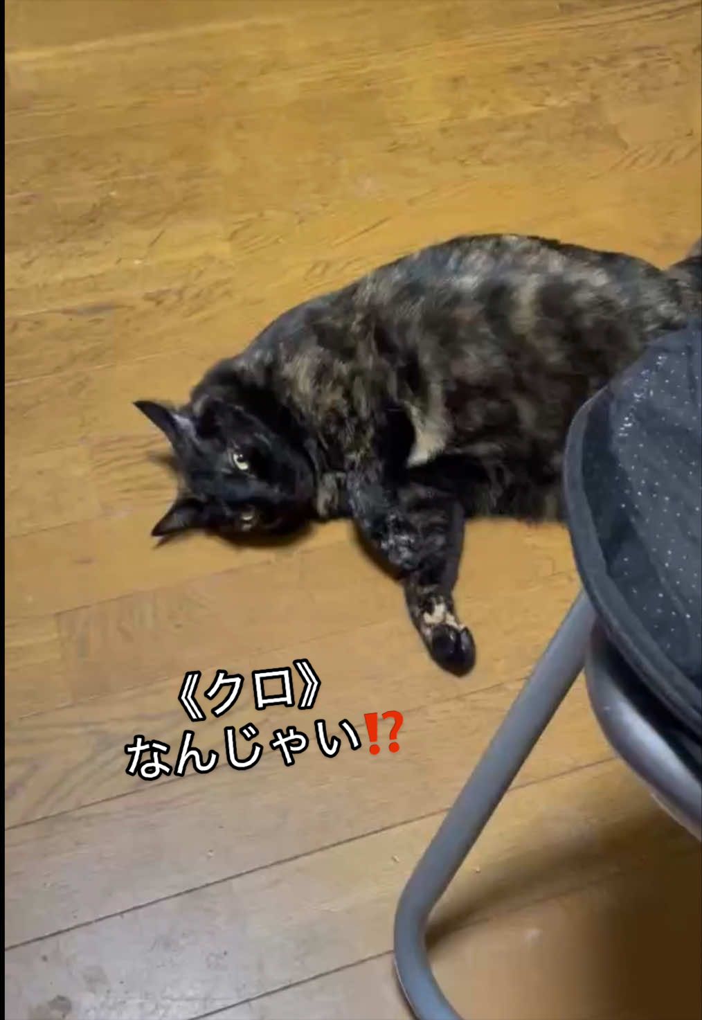 @聴々物語PROJECT