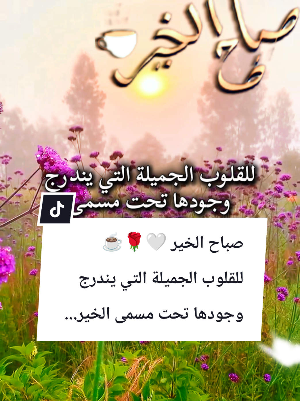 @🌟𝗦𝗼𝘂𝘇𝗮𝗻 𝗖𝗵𝗮𝗺𝘀
