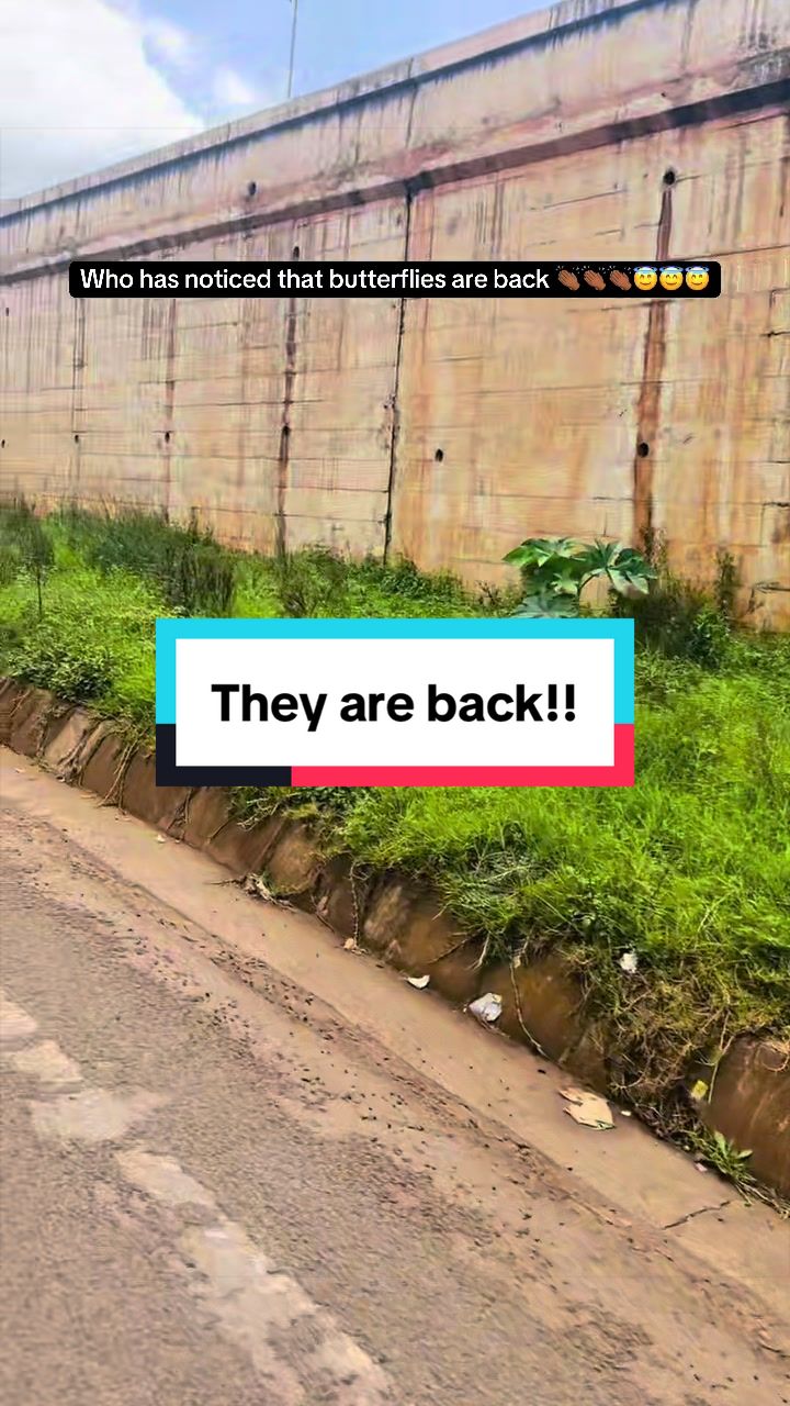 @Frederick Muitiriri