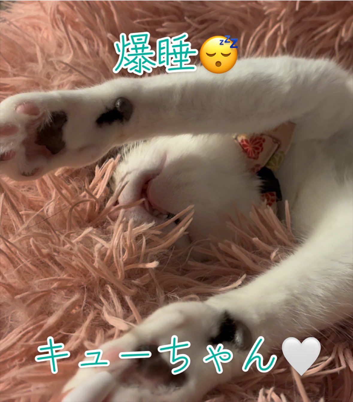 @はっぴー野郎☺︎