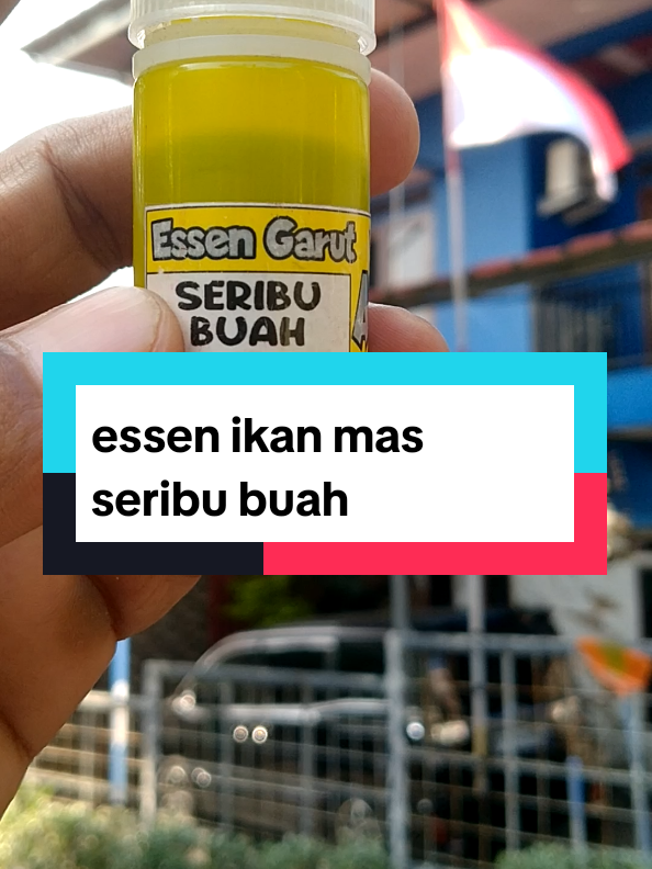 @Berkah FS