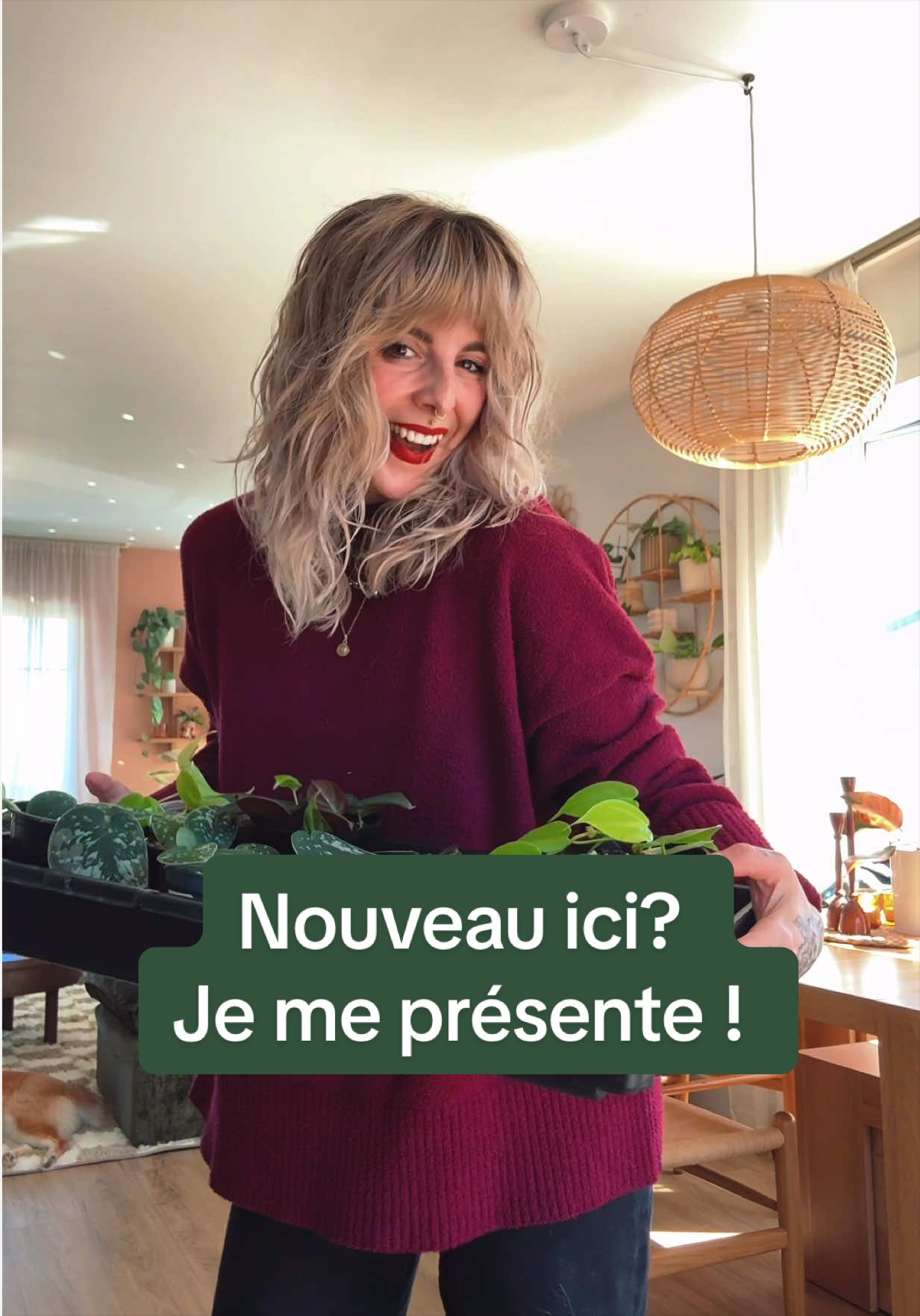 @Laura pigeon