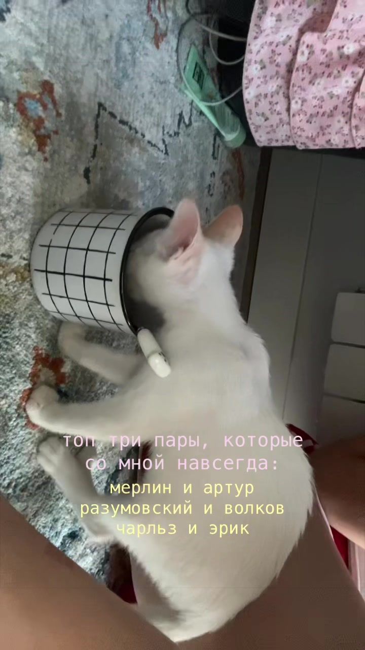 @kkkiwinnn