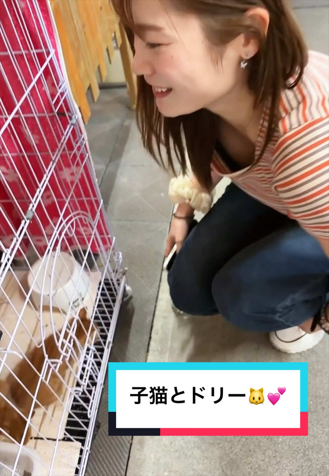@ダンシングドリー