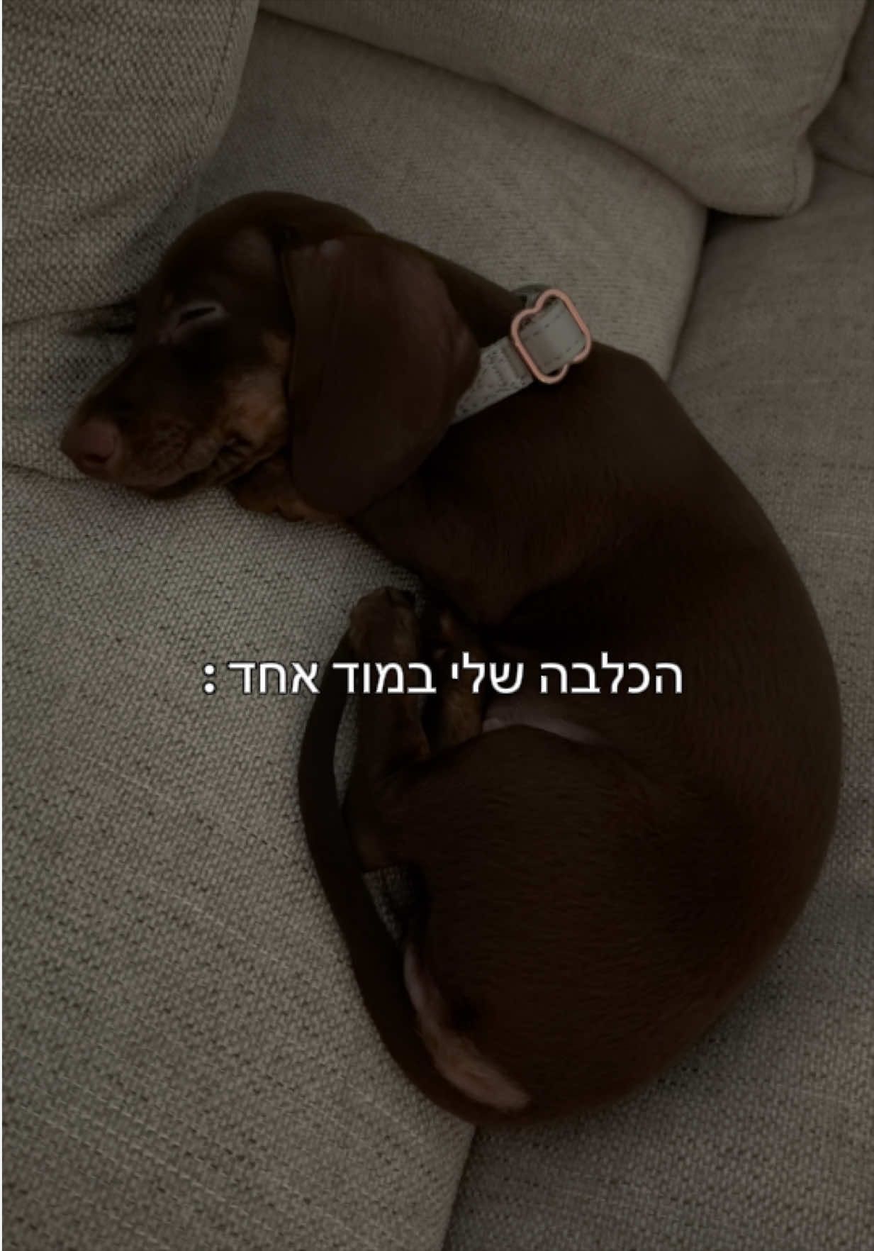 @הכשרת קורס מנהלות סושיאל