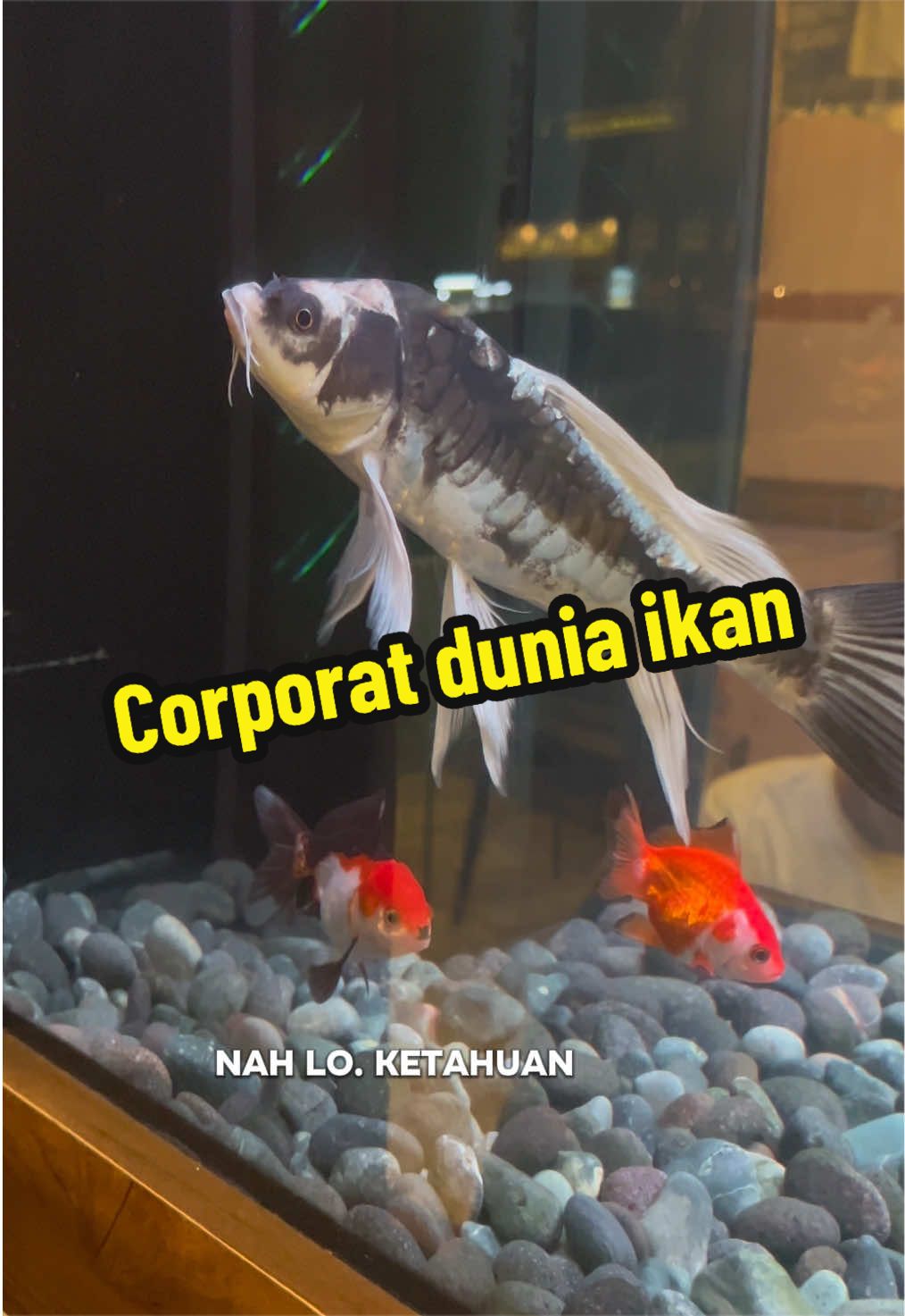 @Mari Tika Makan