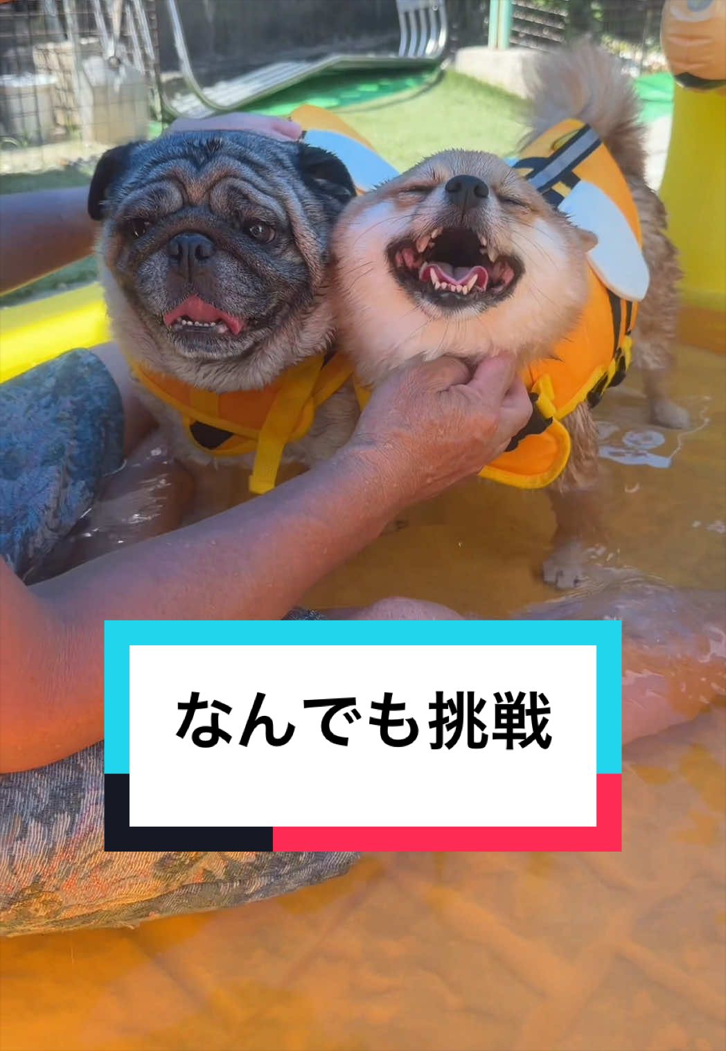 @🐶とん&ぺっぺこぺー🦊