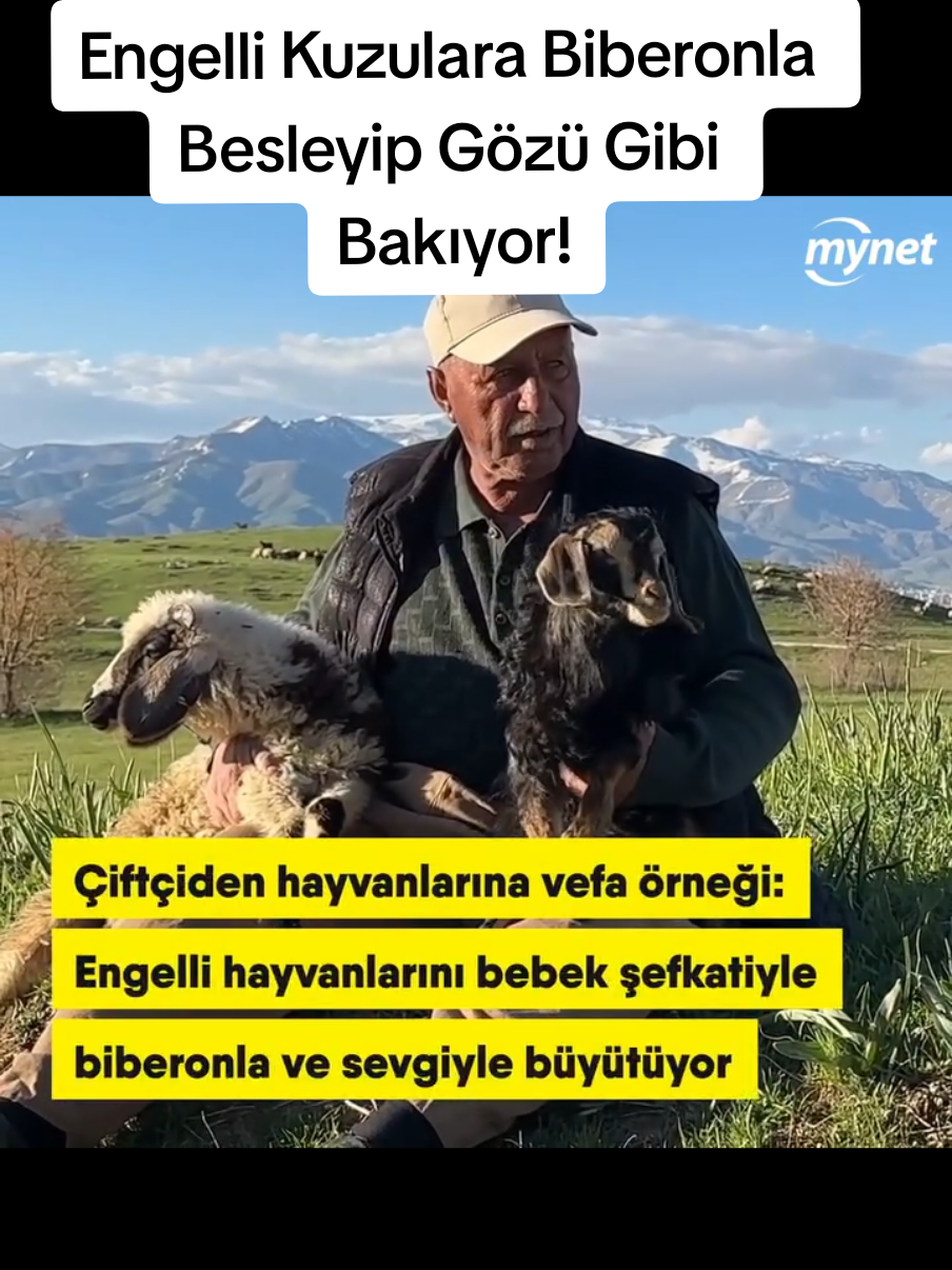 @Sorgunadair