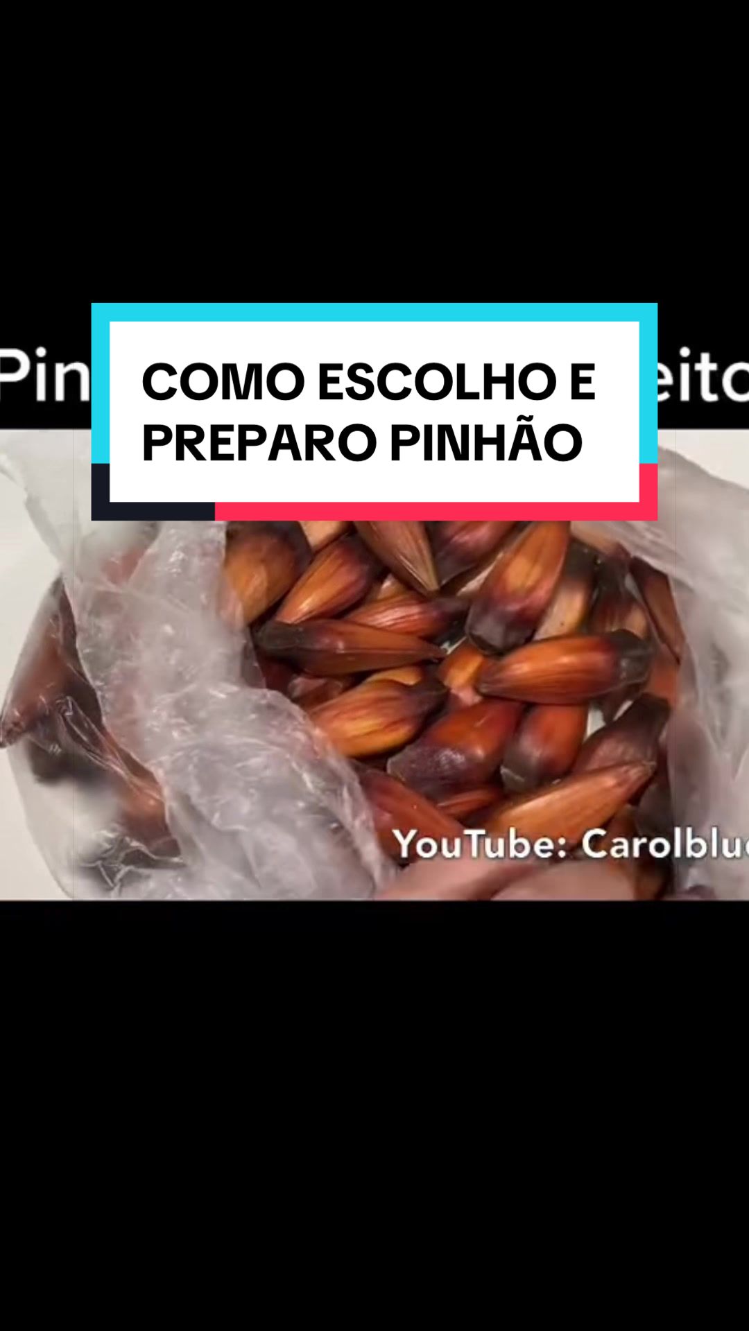 @Carol Blue🩵