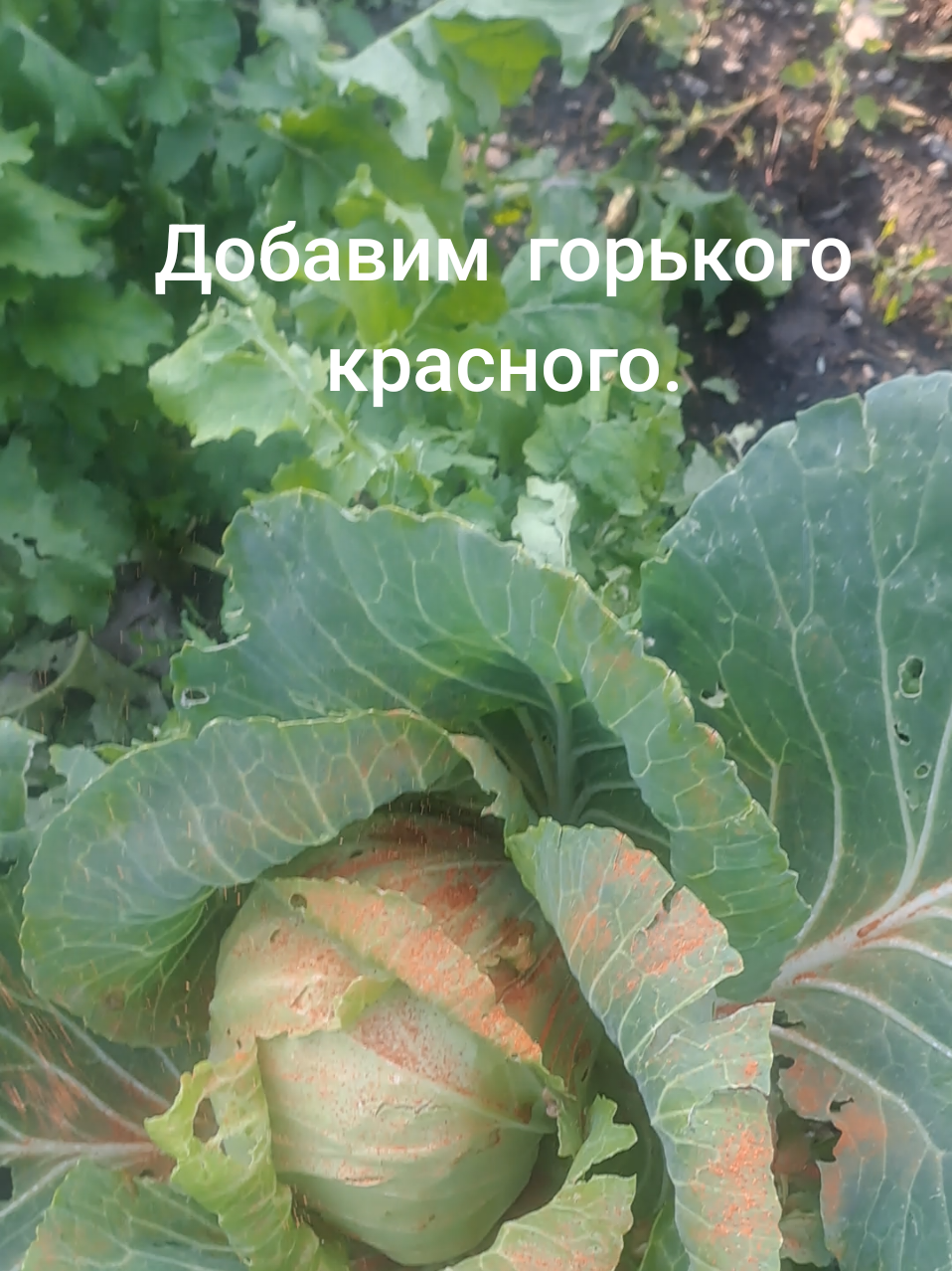 @Танюша💓😇