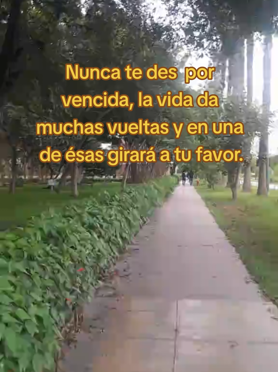 @Vanessa🌙