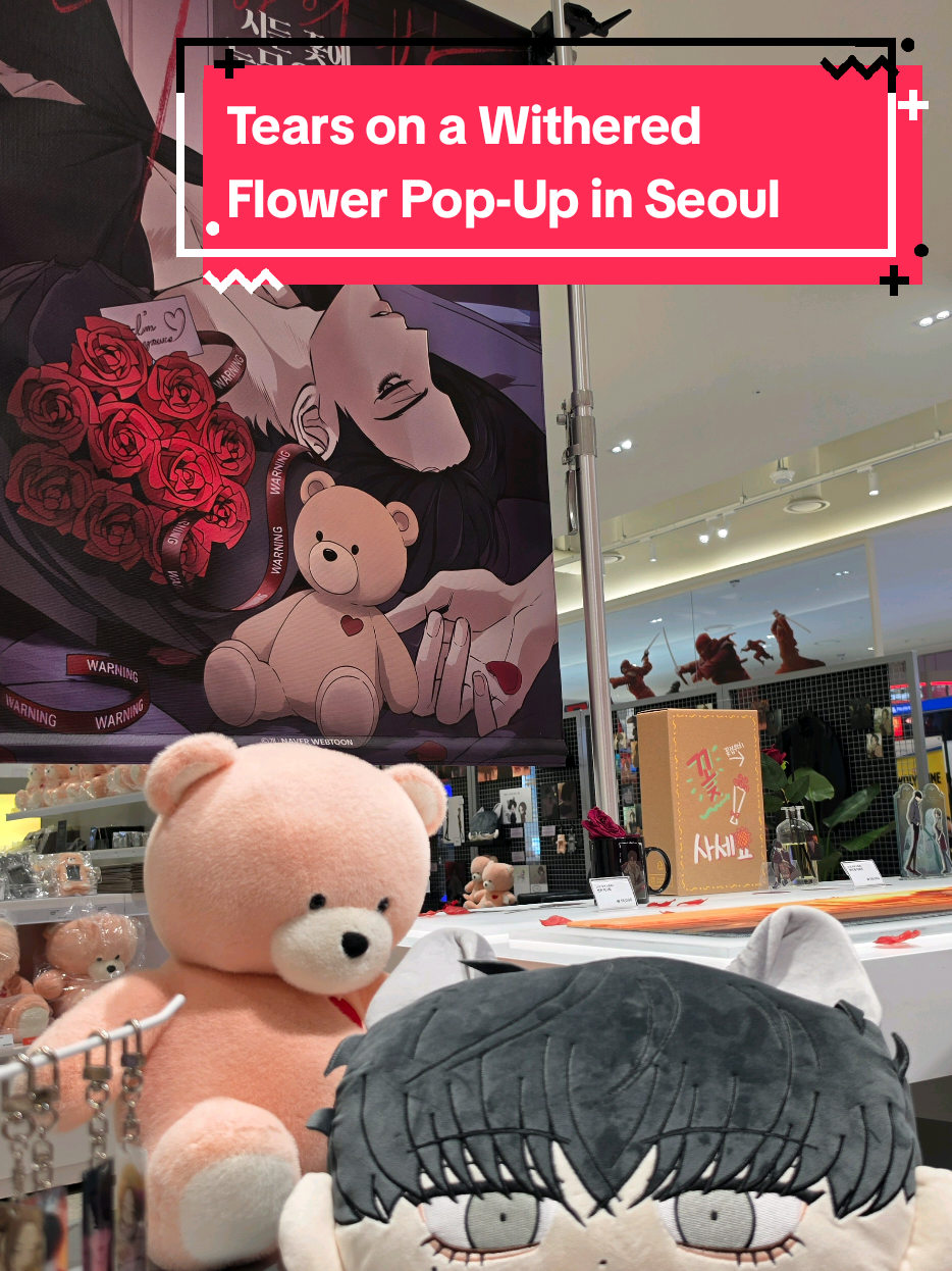 @Seoul Searching