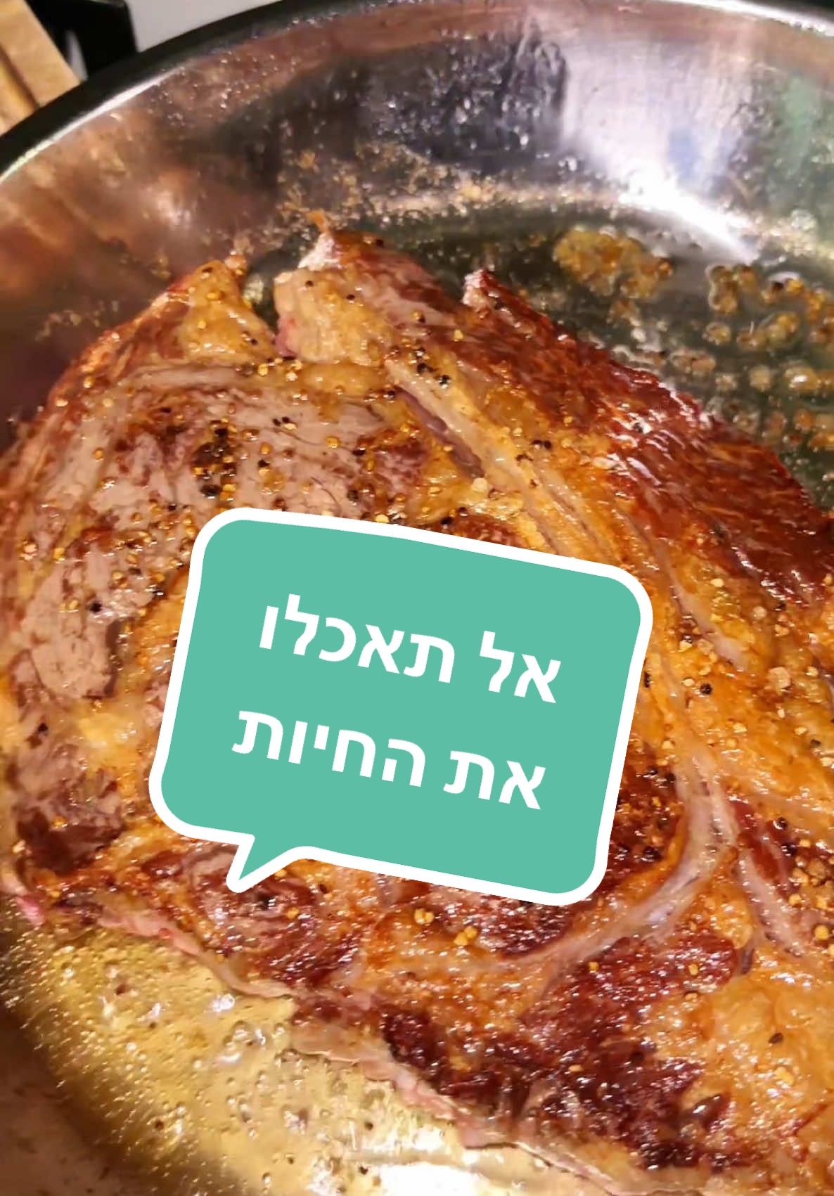 @Elior rein | אליאור ריין