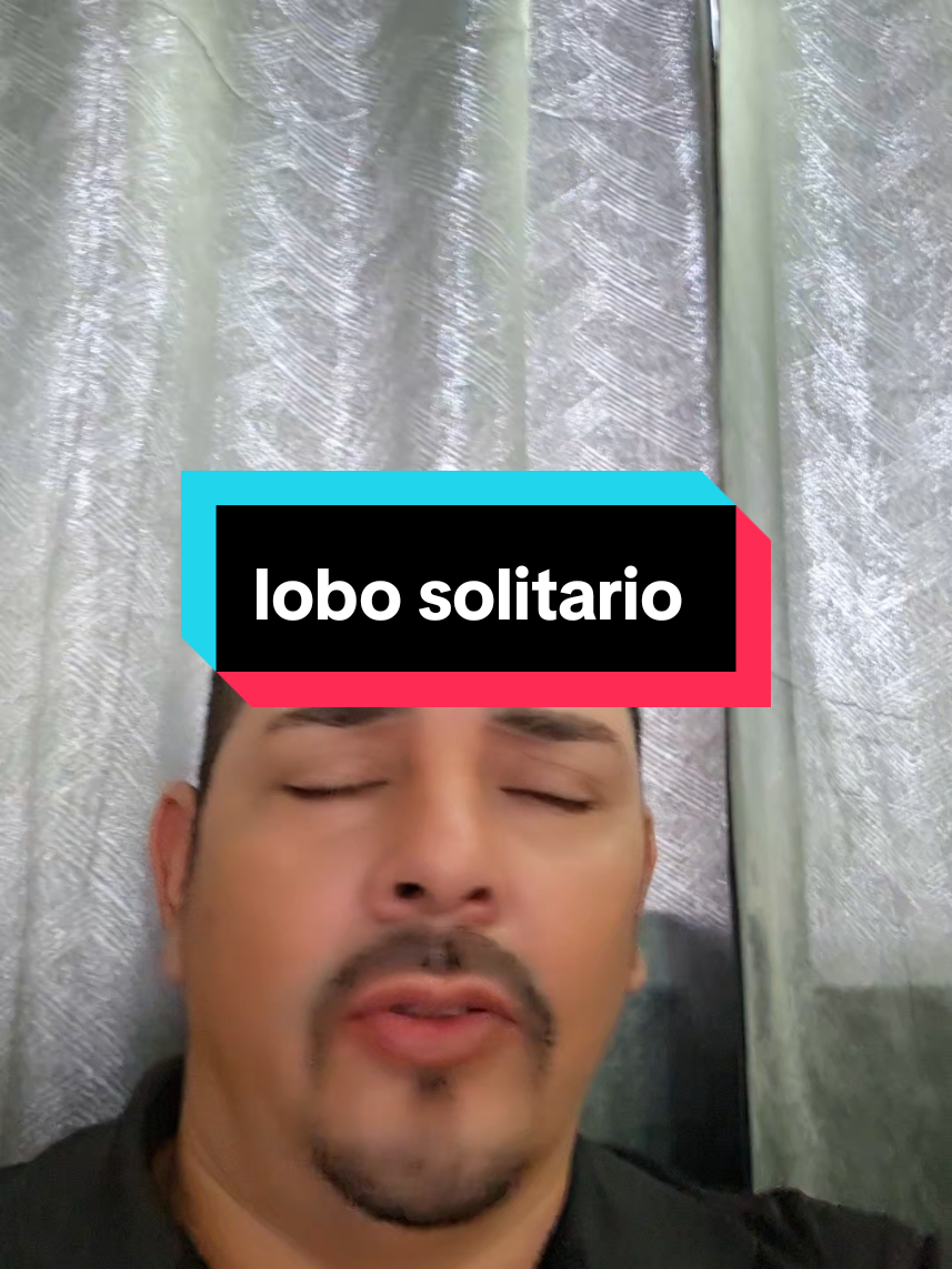 @G&M Lobo solitario