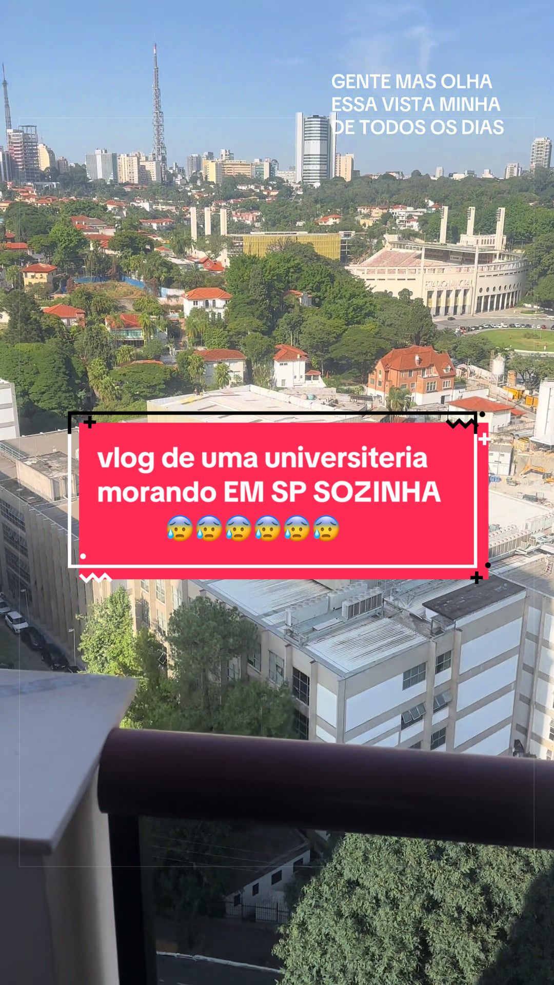 @mottinhaa