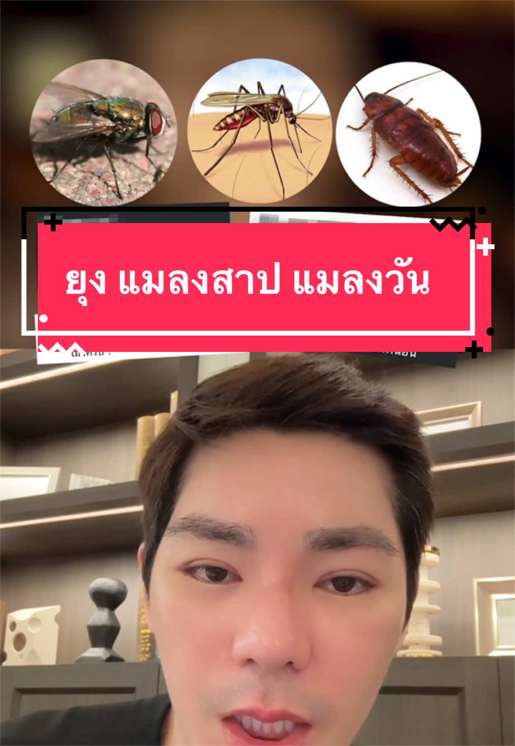 @พี่กลางหอสมุดแห่งชาติ