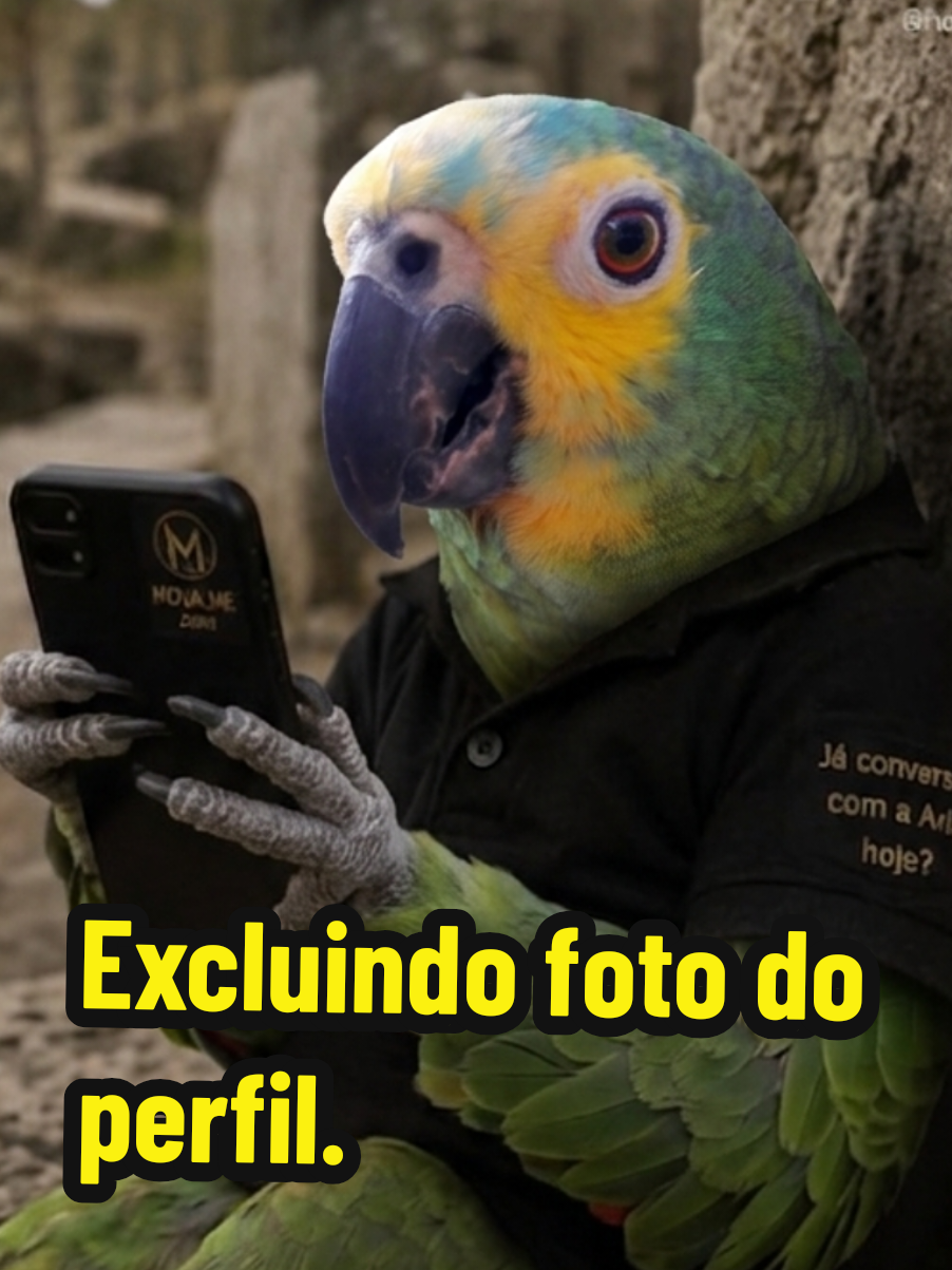 @Papagaio Chico🌽🦜