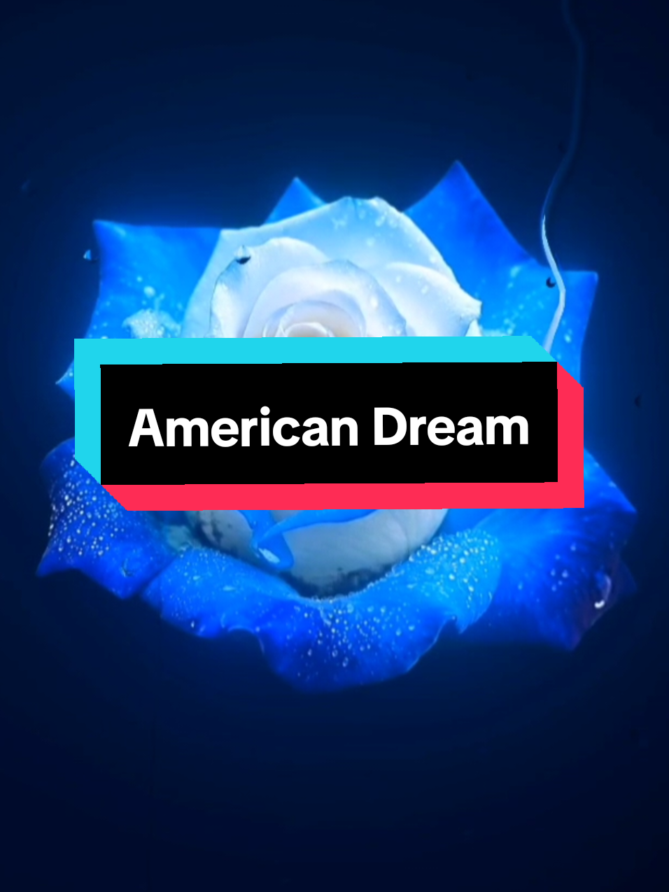 @𝗘𝗶𝘇𝗲𝗻𝗹𝘆𝗿𝗶𝗰𝘀