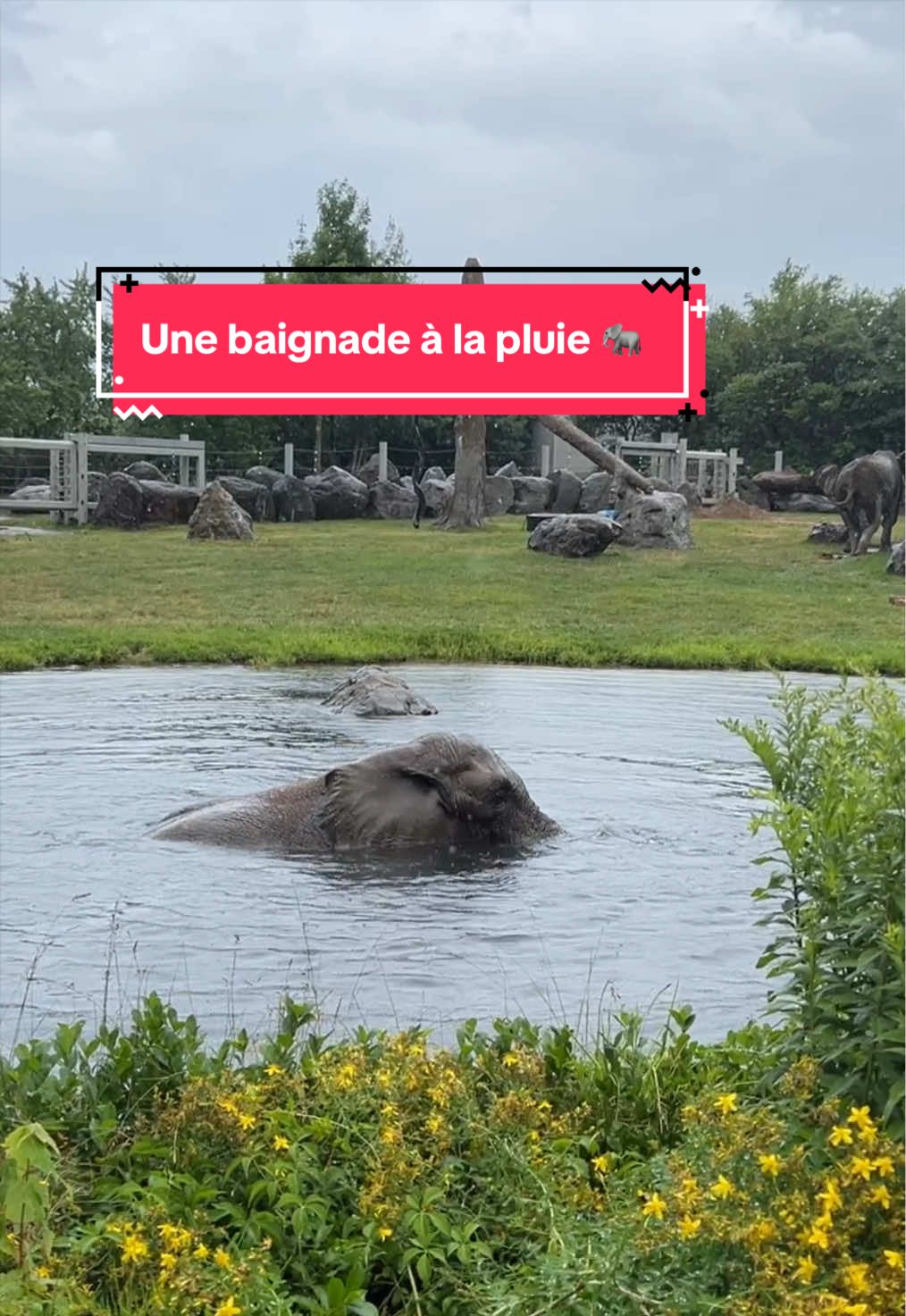 @Zoo de Granby