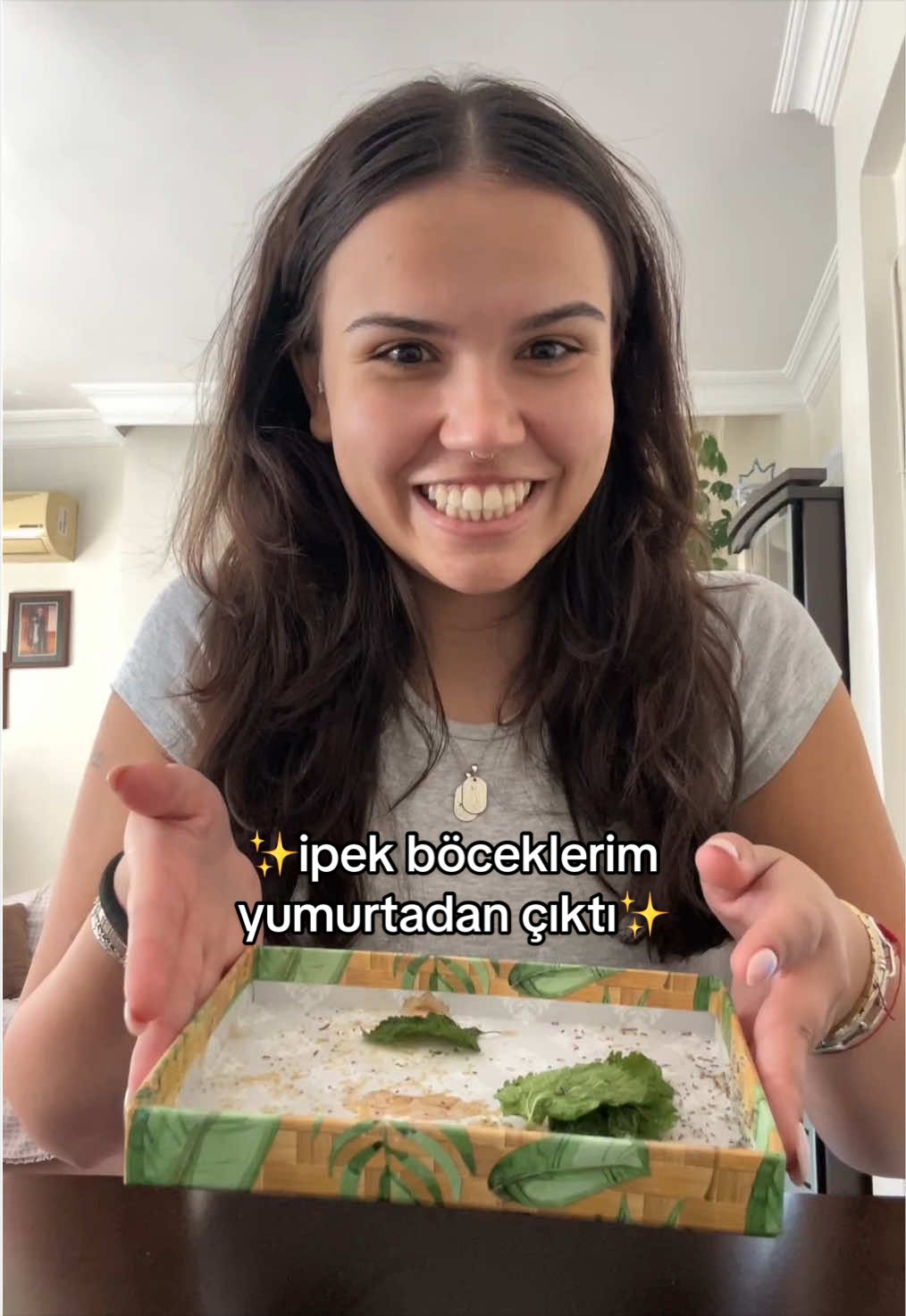 @Elif Sezgin