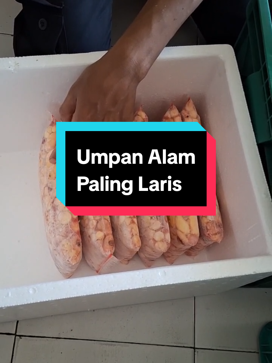 @TOKO UMPAN MANCING AJS FISHING