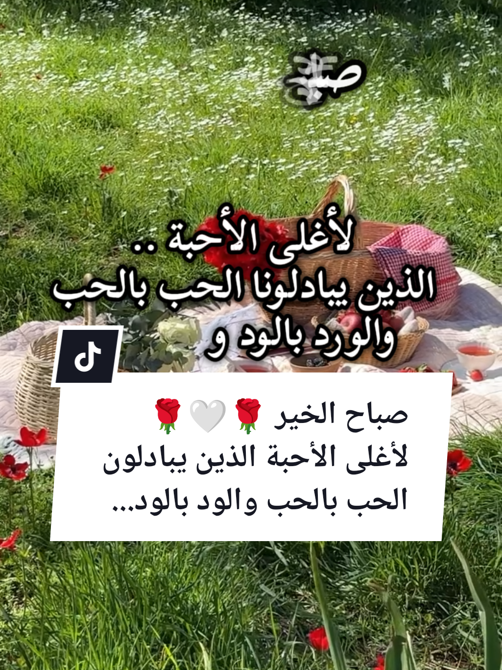 @🌟𝗦𝗼𝘂𝘇𝗮𝗻 𝗖𝗵𝗮𝗺𝘀