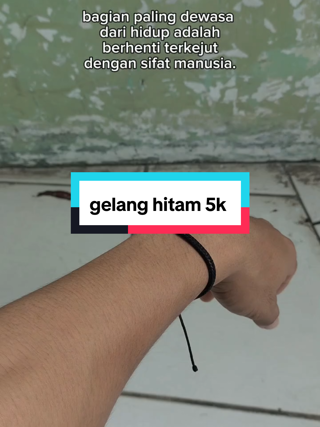 @Hamstore 🛒