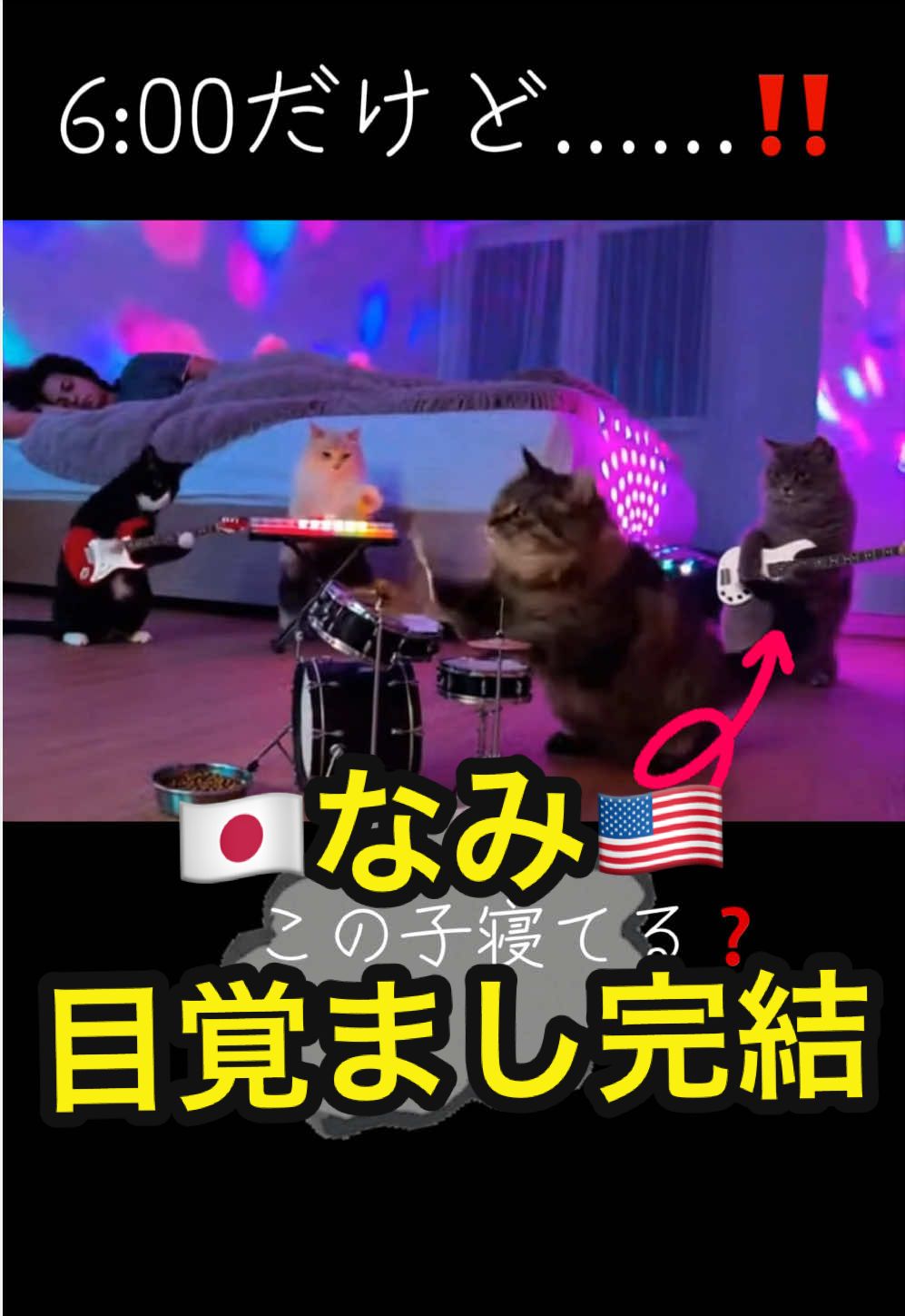 @ð¯ðµãªã¿ðºðž
