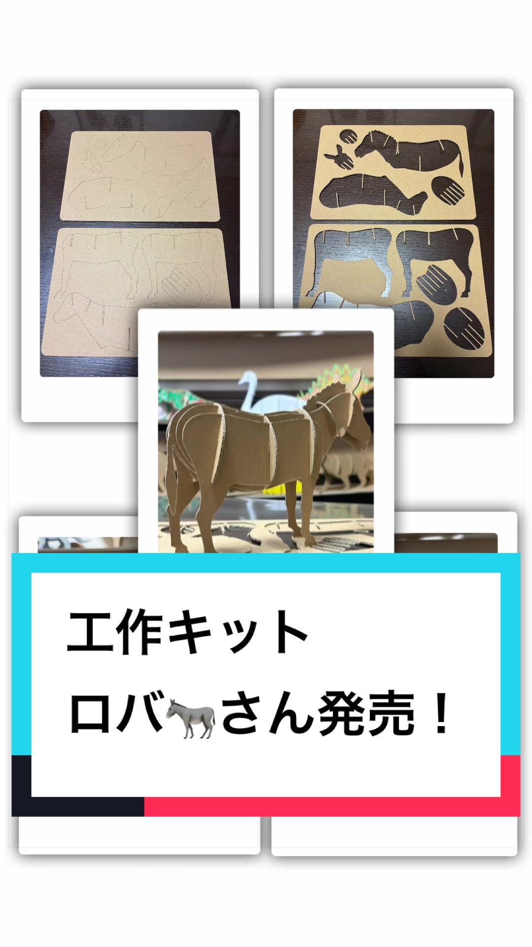 @ダンボール王子🌏♾️🐦&zwj;🔥