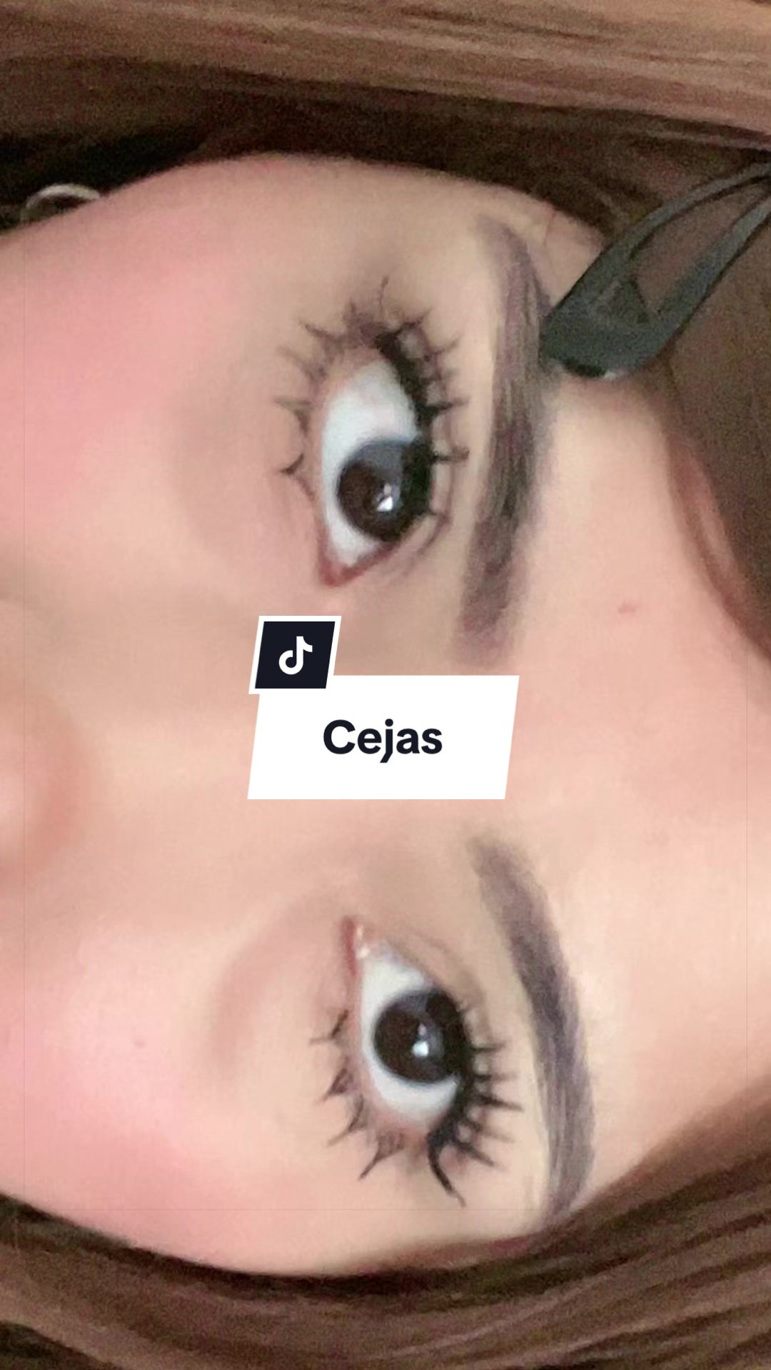 @⋆.˚ 𓇼 𓆡Coralito𓆉 𓇼 ⋆.˚
