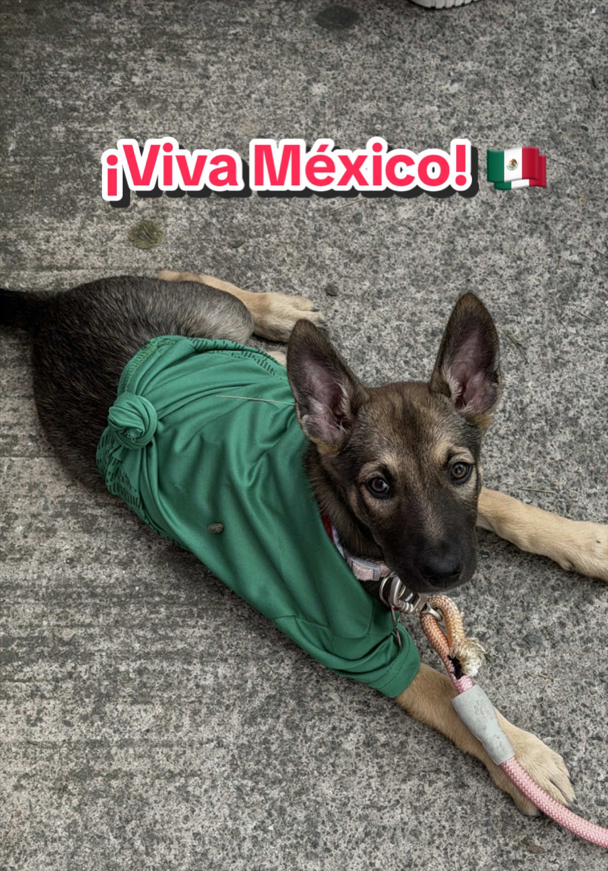 @gabyvelascob