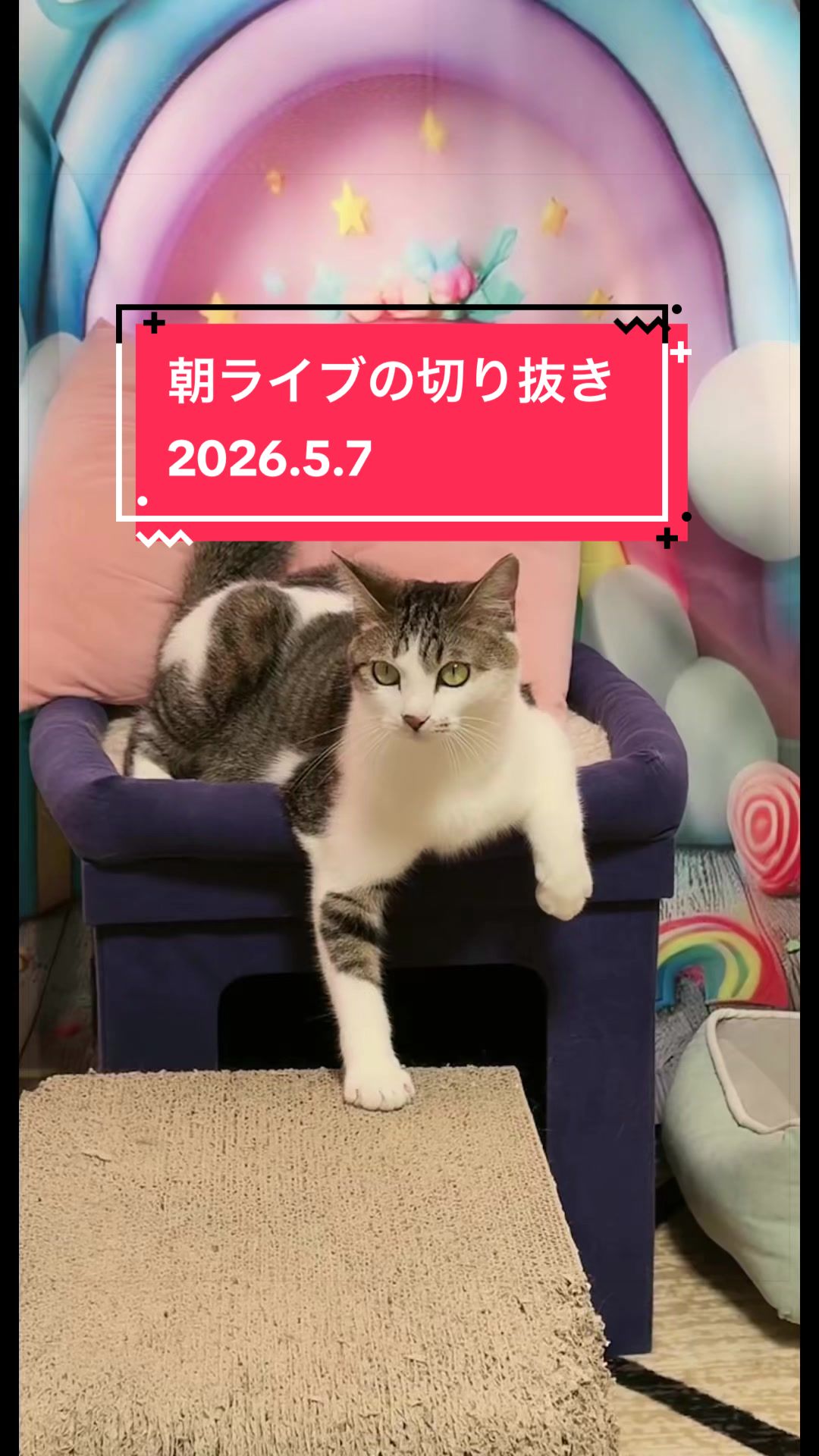@👑ミキティ👑🙀🍜🙀🌿