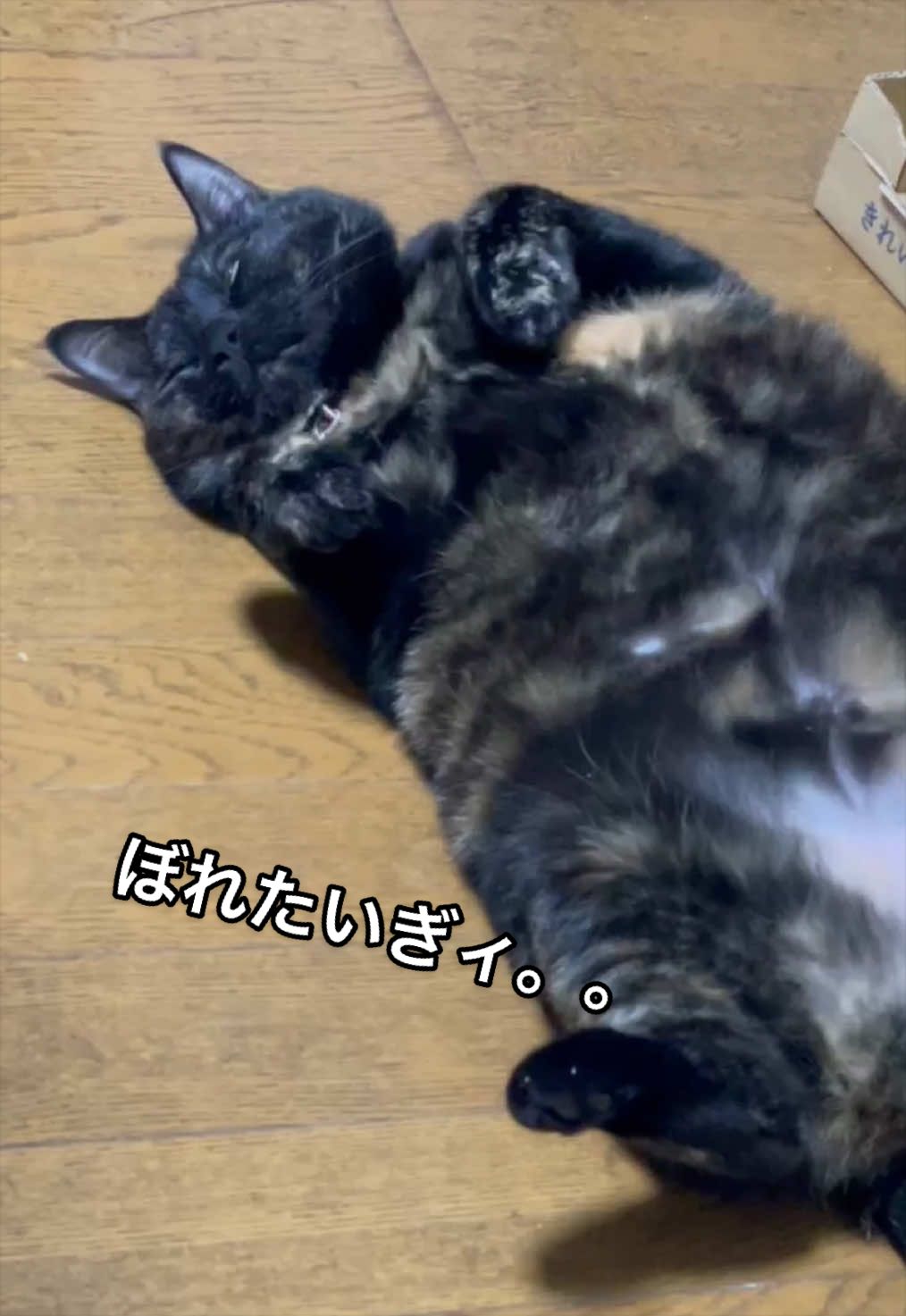 @聴々物語PROJECT