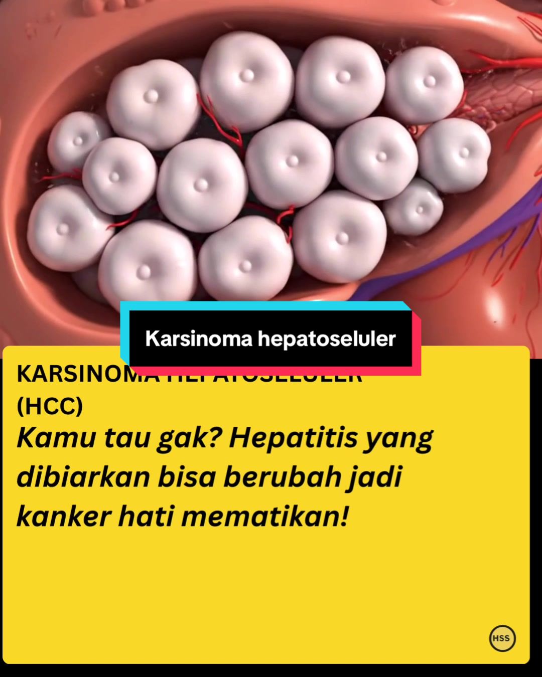 @healthstorysociety