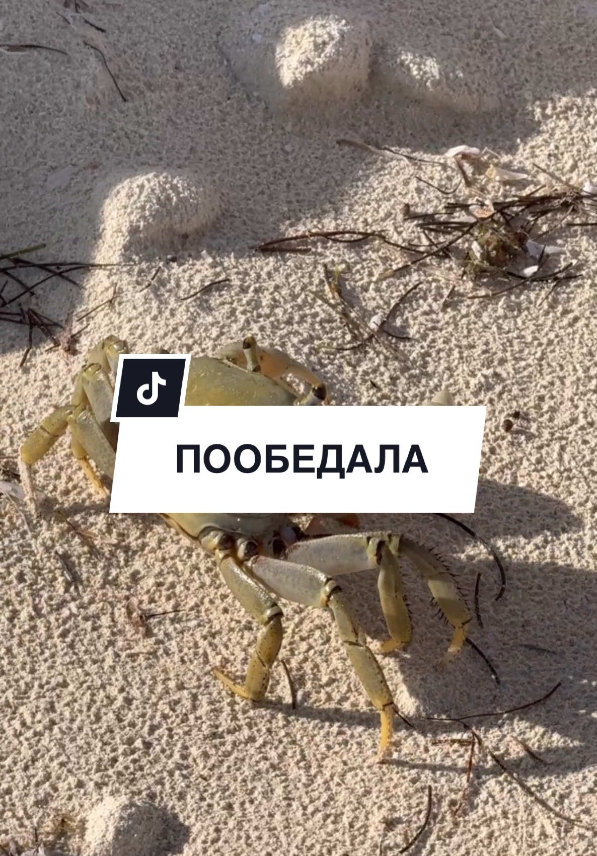 @DOBROWA
