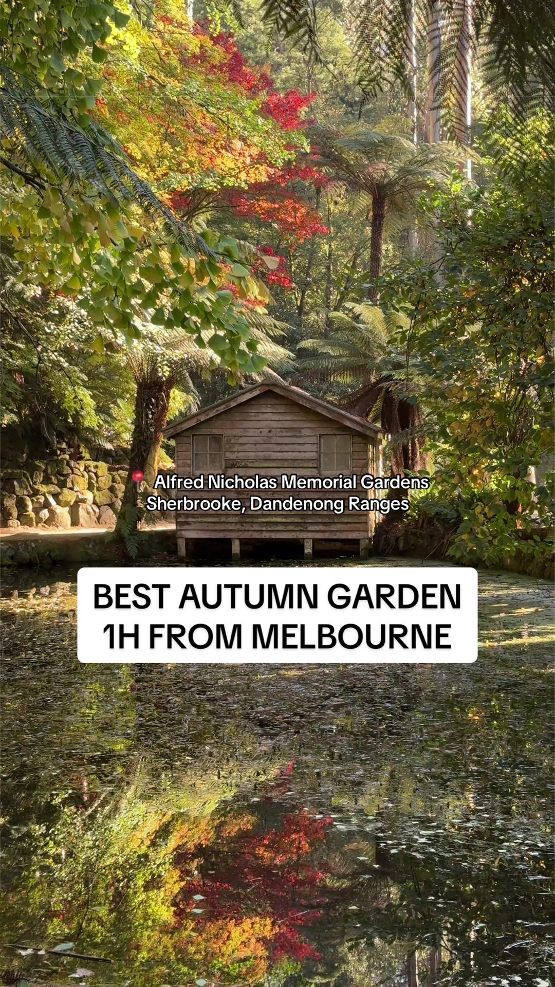 @Siri | Melbourne Hotspots