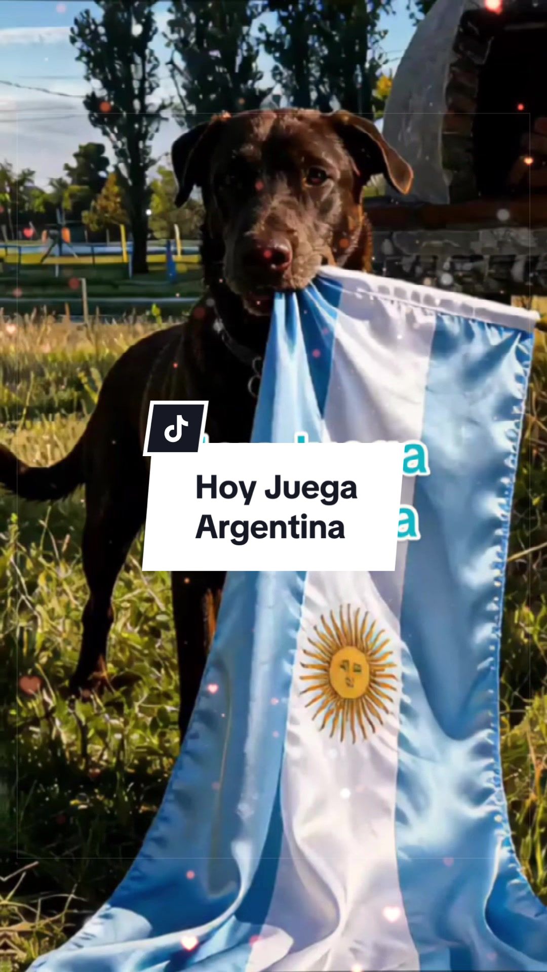 @Paco