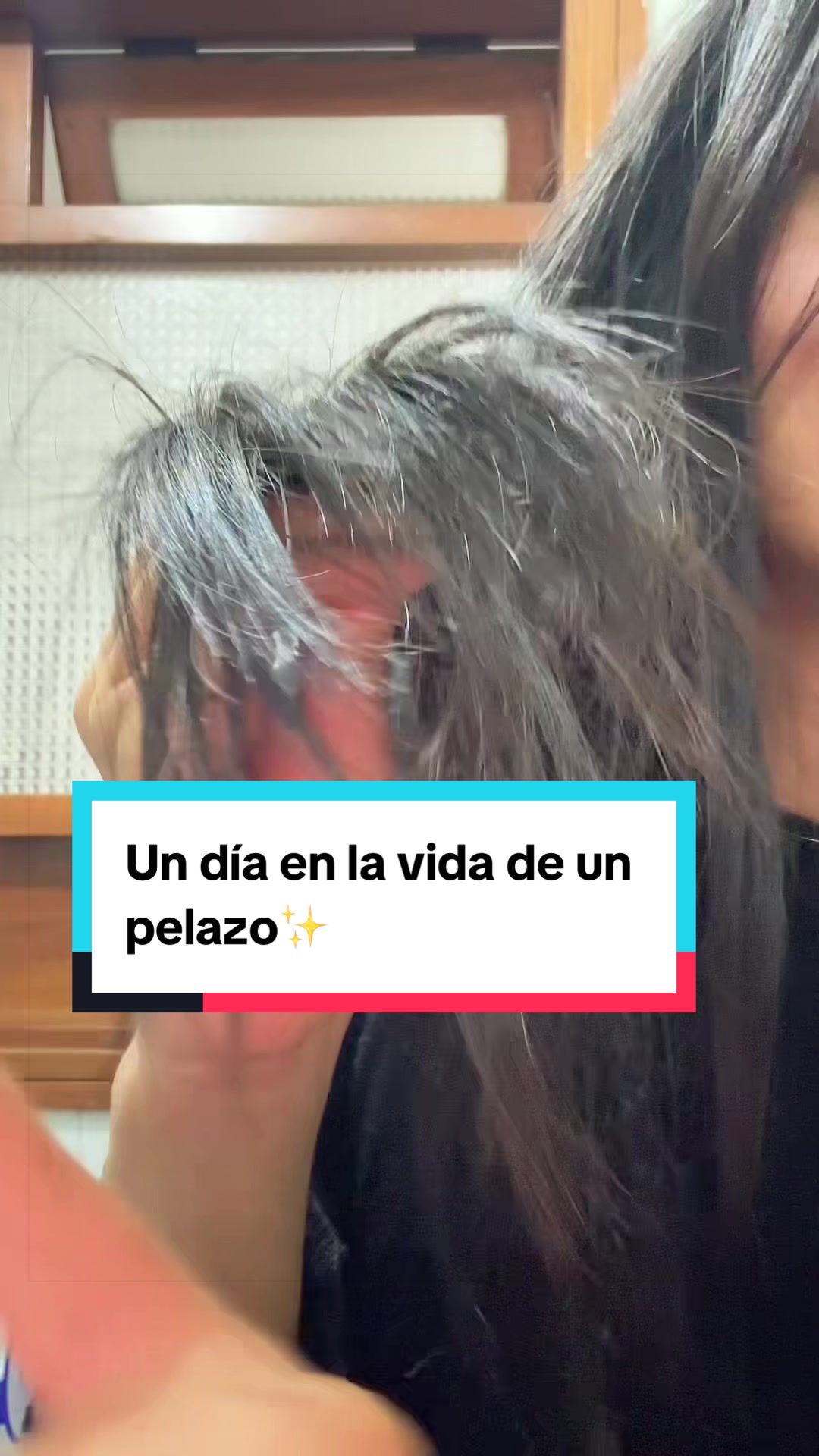 @andreenvivo
