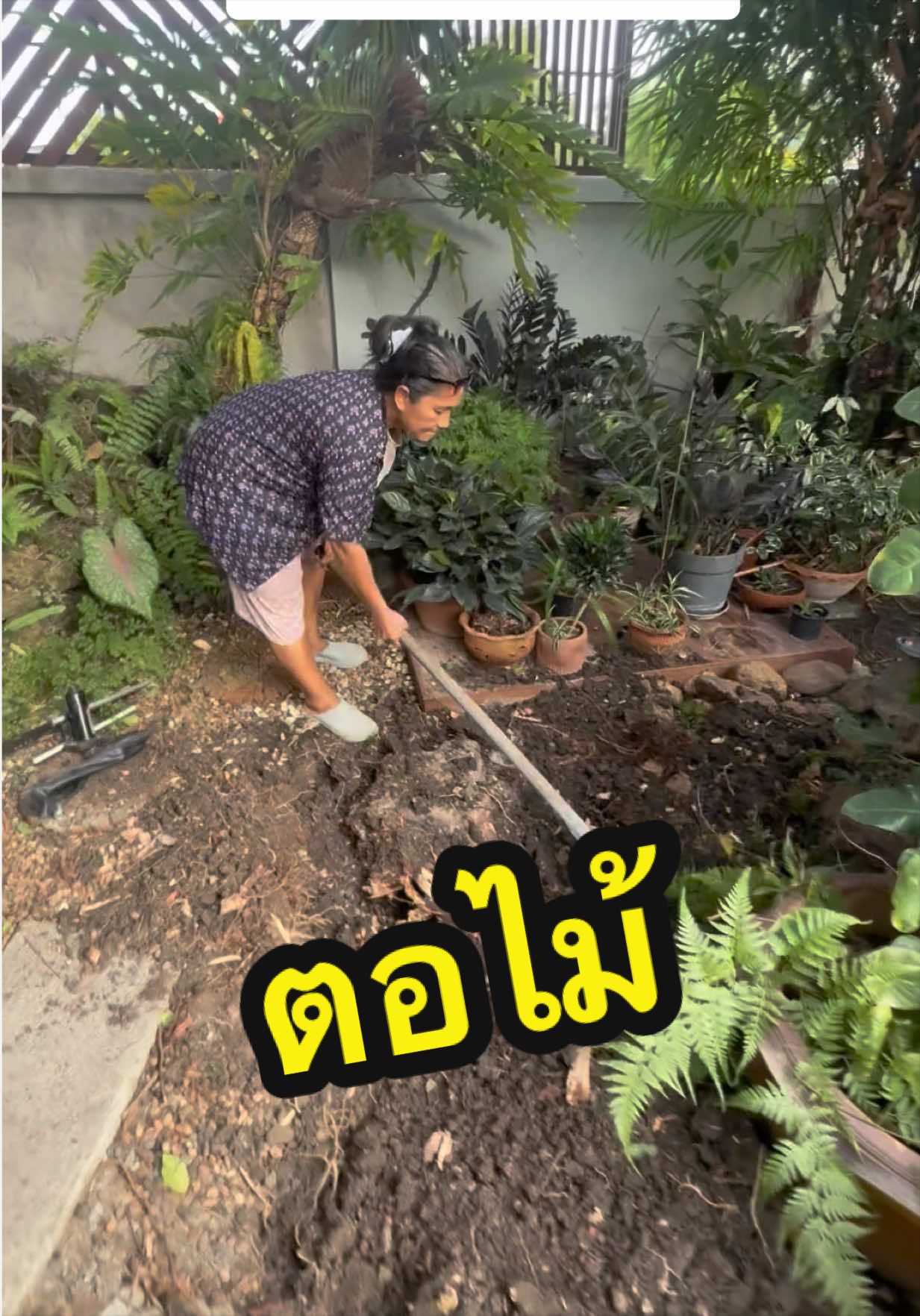 @อ้น บ้านทองกวาว
