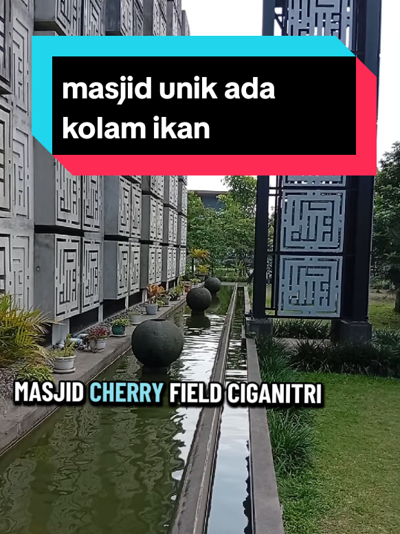 @santri sdg berjuang