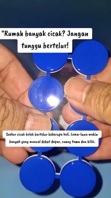 @NORIZARASHID
