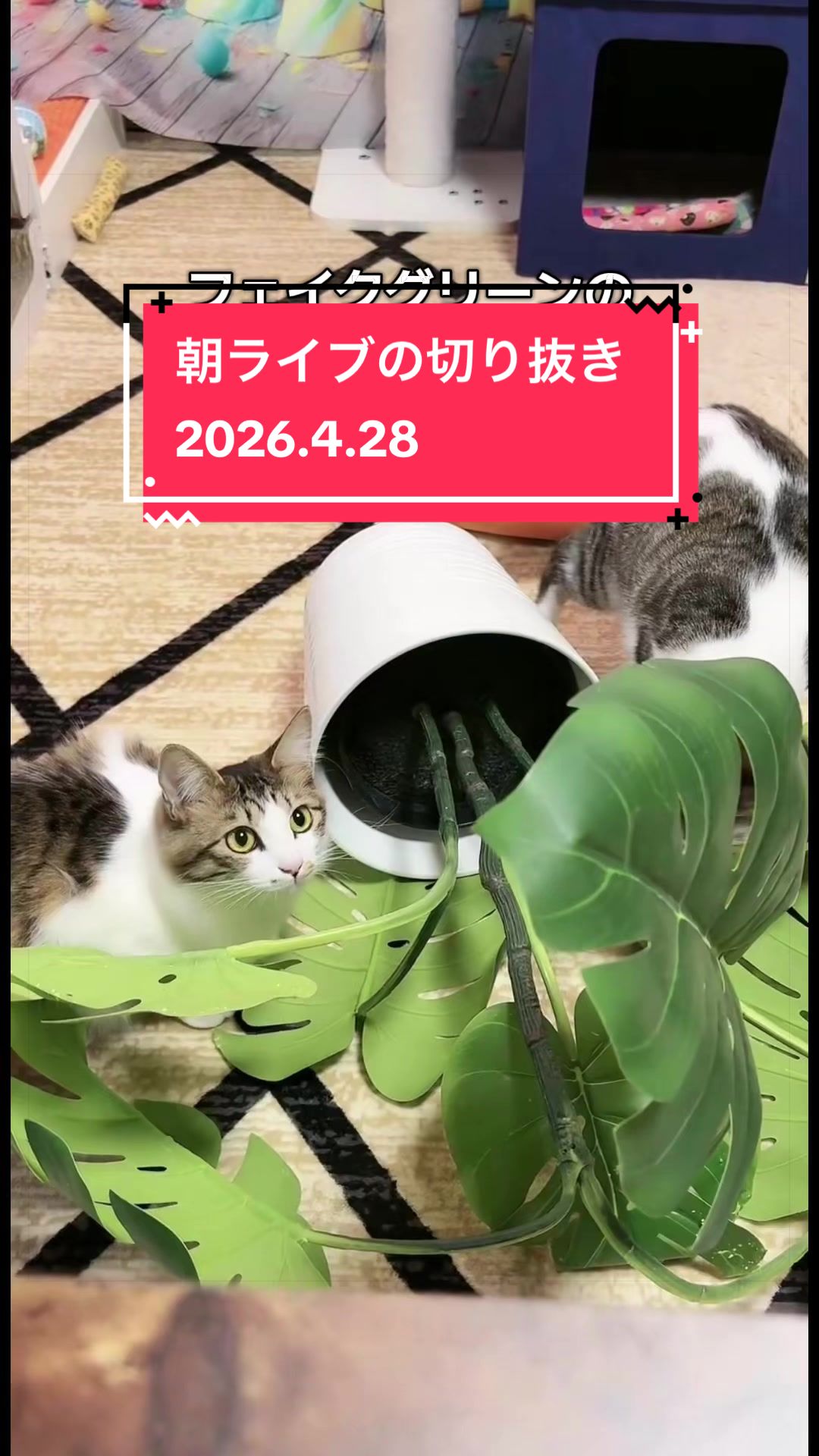 @👑ミキティ👑🙀🍜🙀🌿