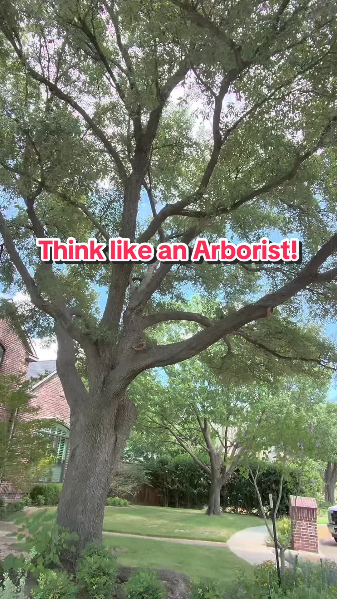 @SPTreeService