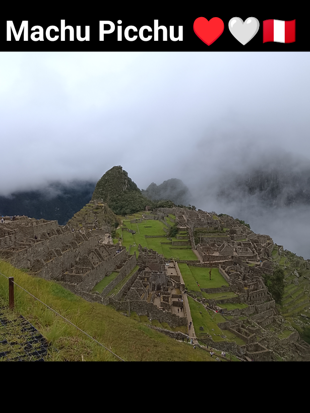 @charlotte🇨🇦🇬🇧